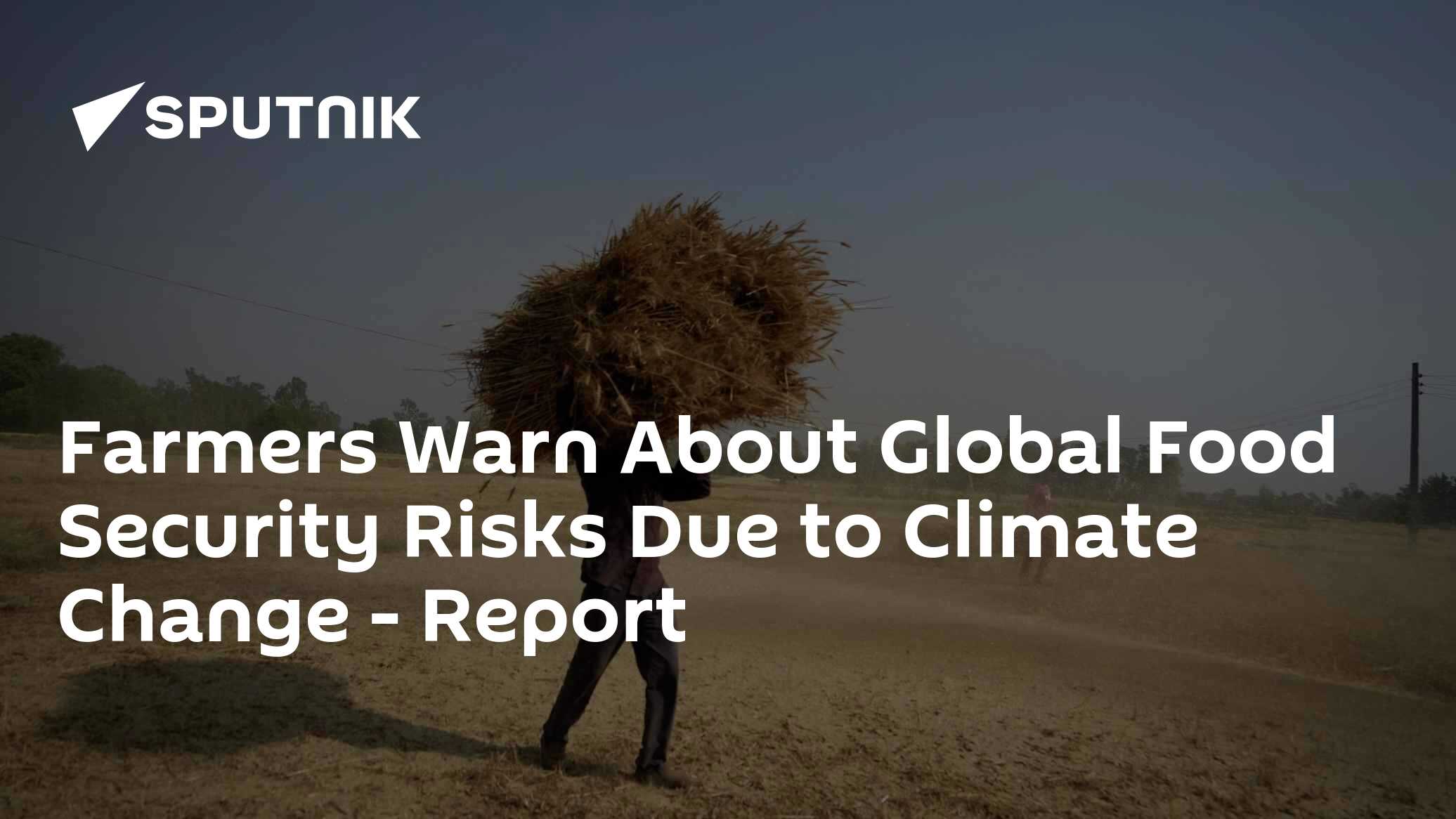 Farmers Warn About Global Food Security Risks Due to Climate Change ...