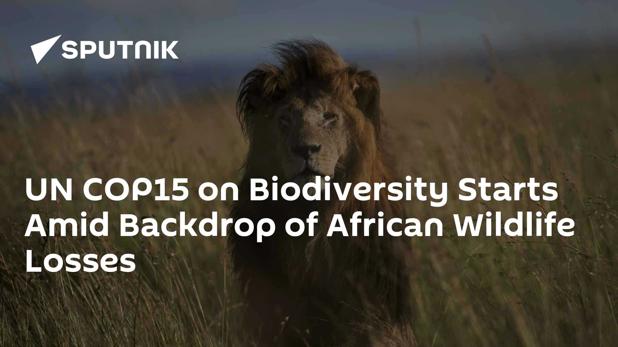 COP15 on Biodiversity Starts Against the Backdrop of Unique African ...