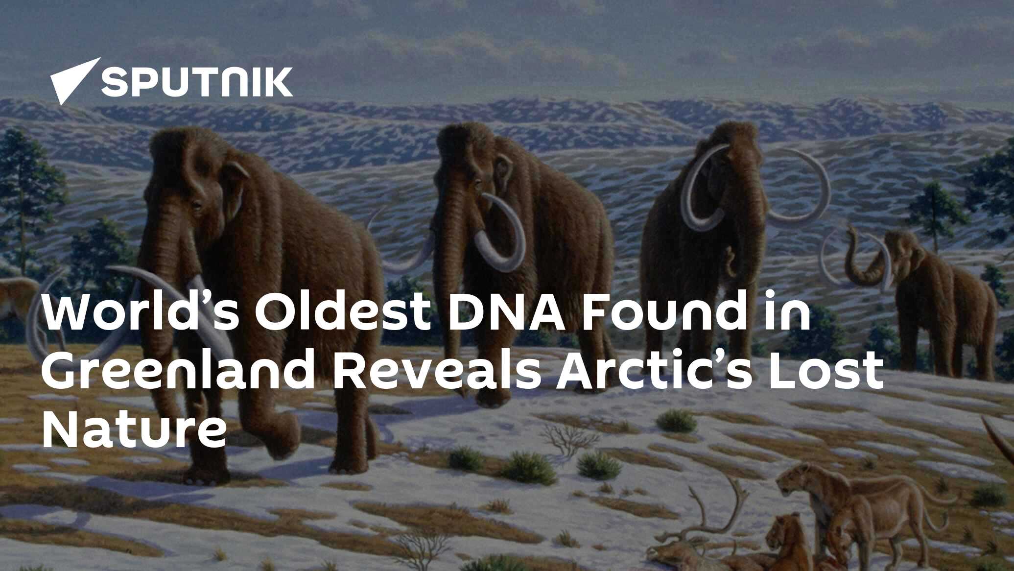 World’s Oldest Dna Found In Greenland Reveals Arctic’s Lost Nature 08 12 2022 Sputnik