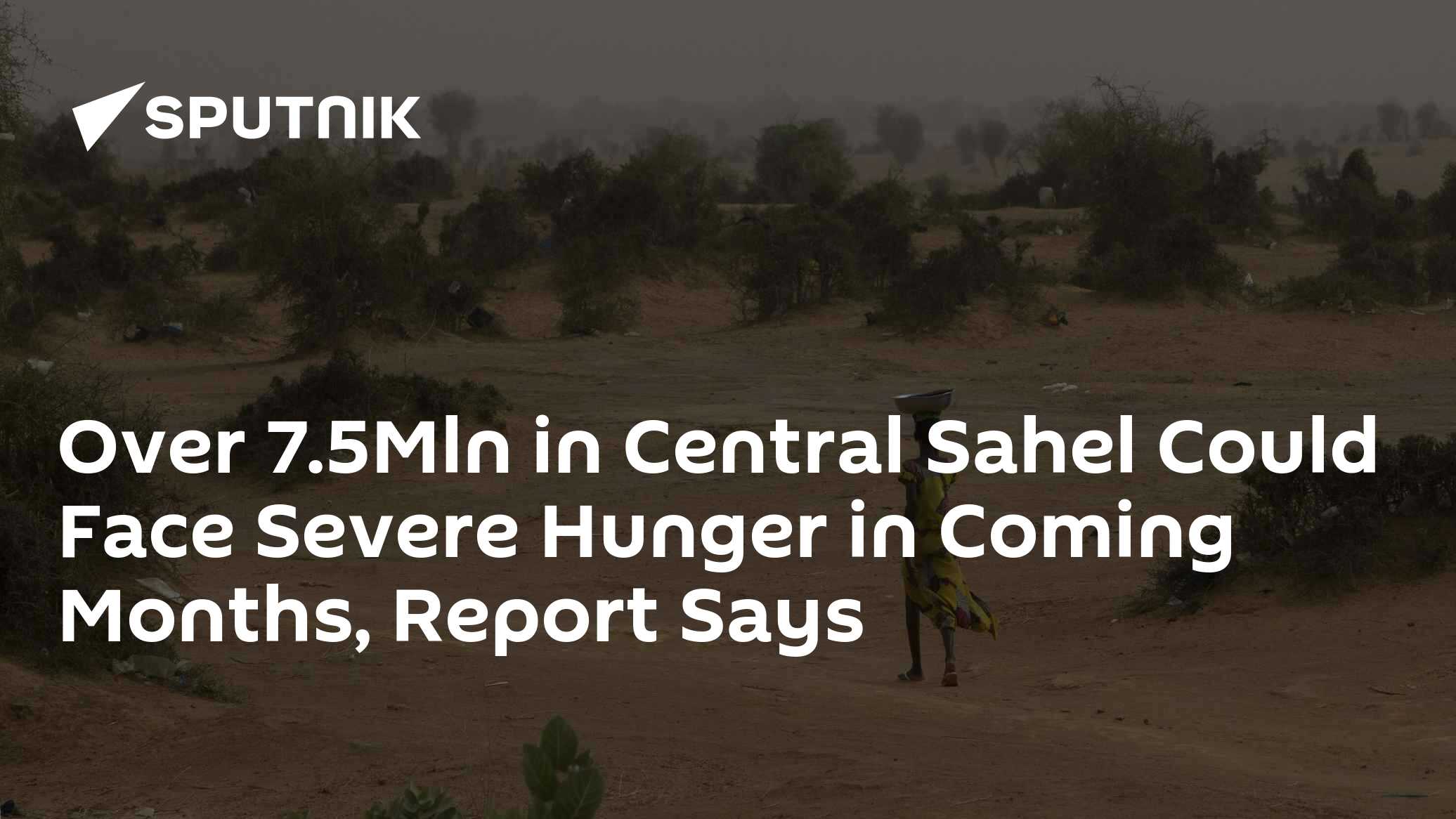 Report: Over 7.5Mln in Central Sahel Could Face Severe Hunger in Coming ...
