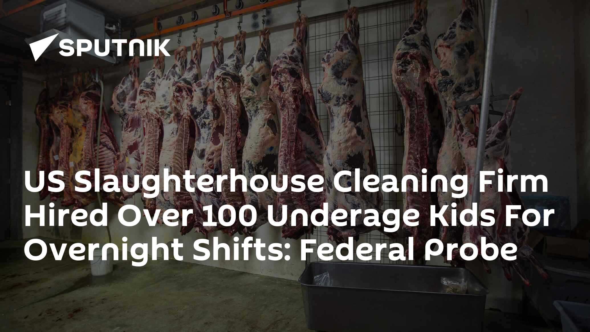 US Slaughterhouse Cleaning Firm Reportedly Hired Over 100 Underage Kids