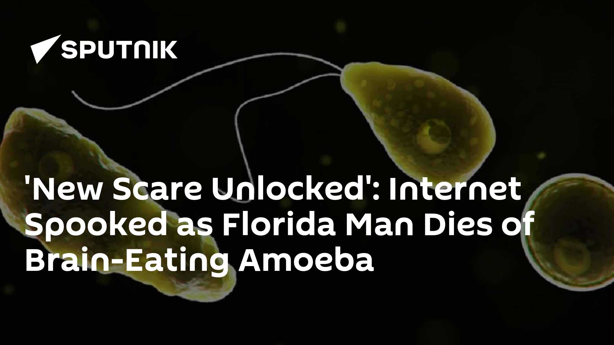 Internet Spooked As Florida Man Dies of Brain-Eating Amoeba