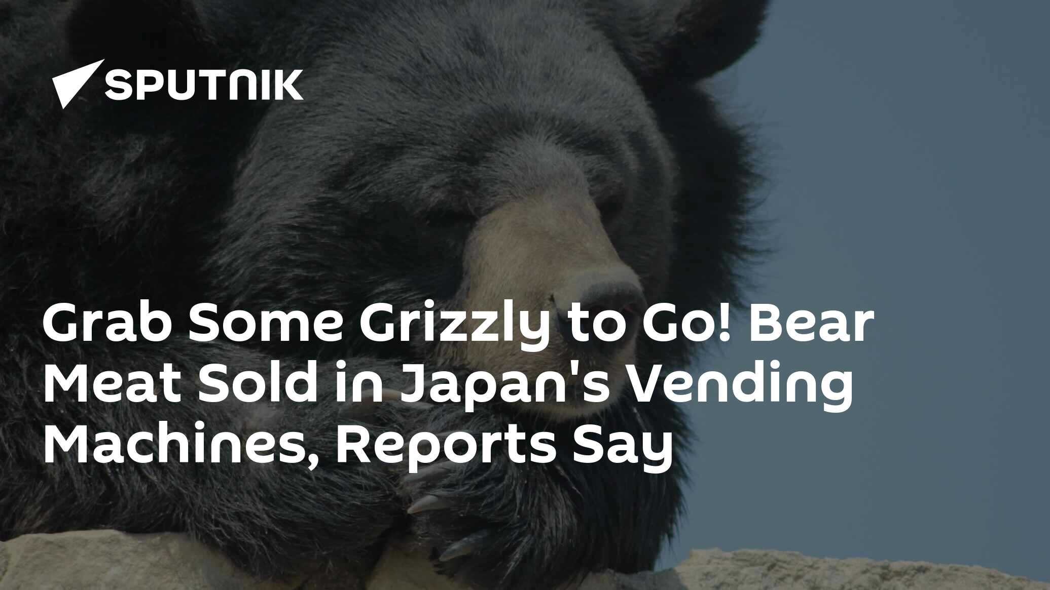 Vending machine in Japan offers bear meat