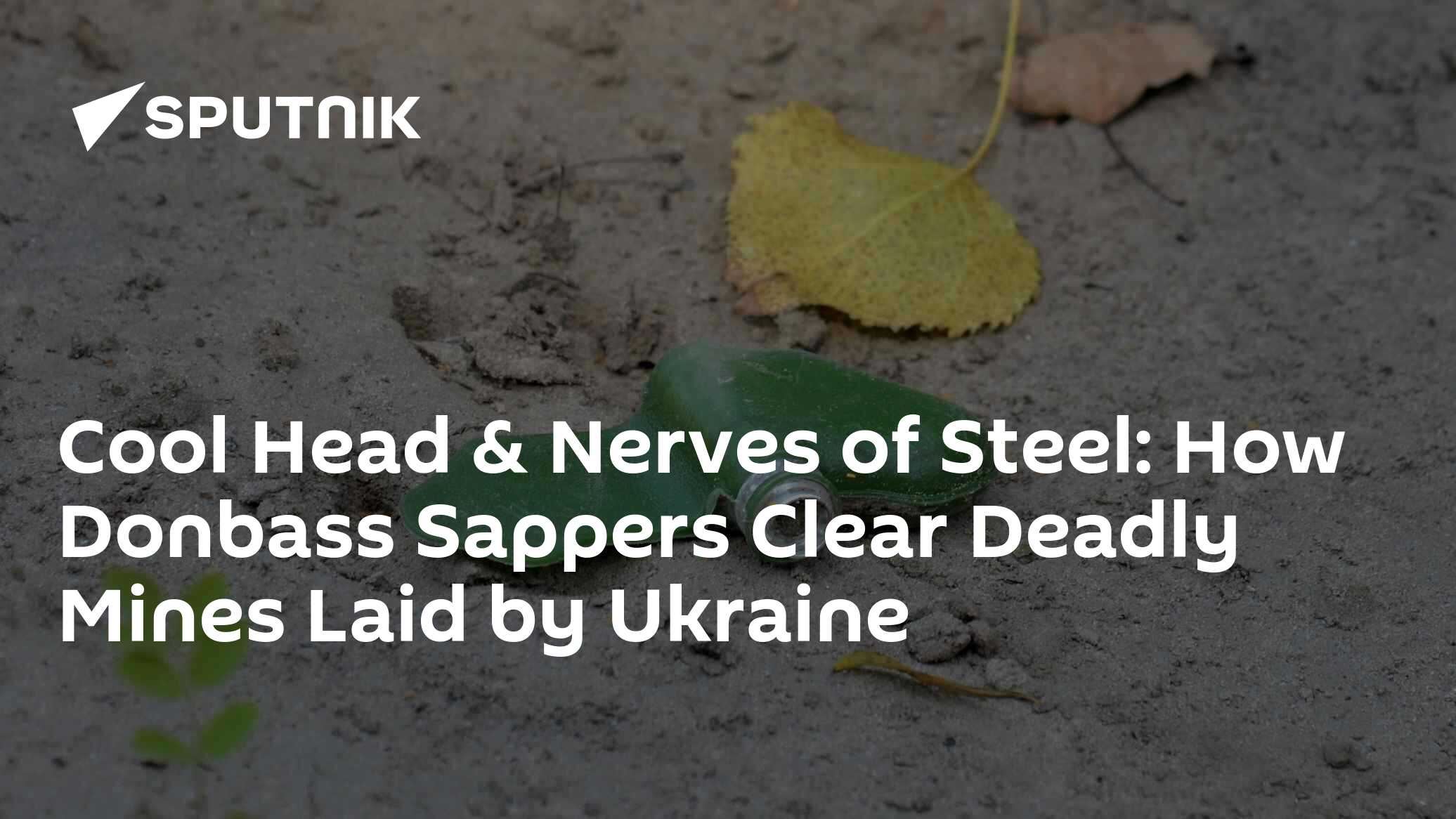 How Donbass Sappers Clear Deadly Mines Laid By Ukraine - Vimarsana News