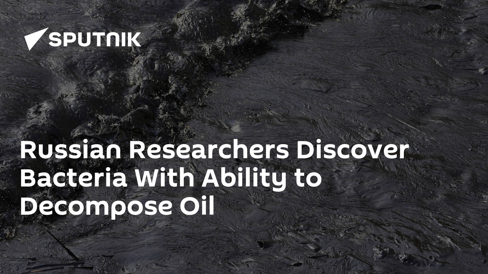 Russian Researchers Discover Bacteria With Ability to Decompose Oil
