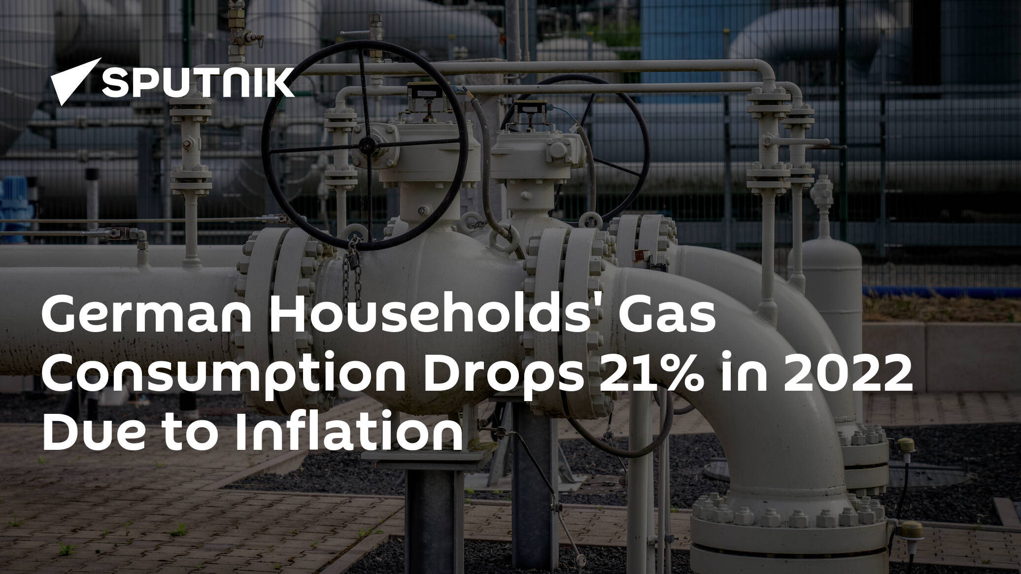 German Households' Gas Consumption Drops 21% in 2022 Due to Inflation