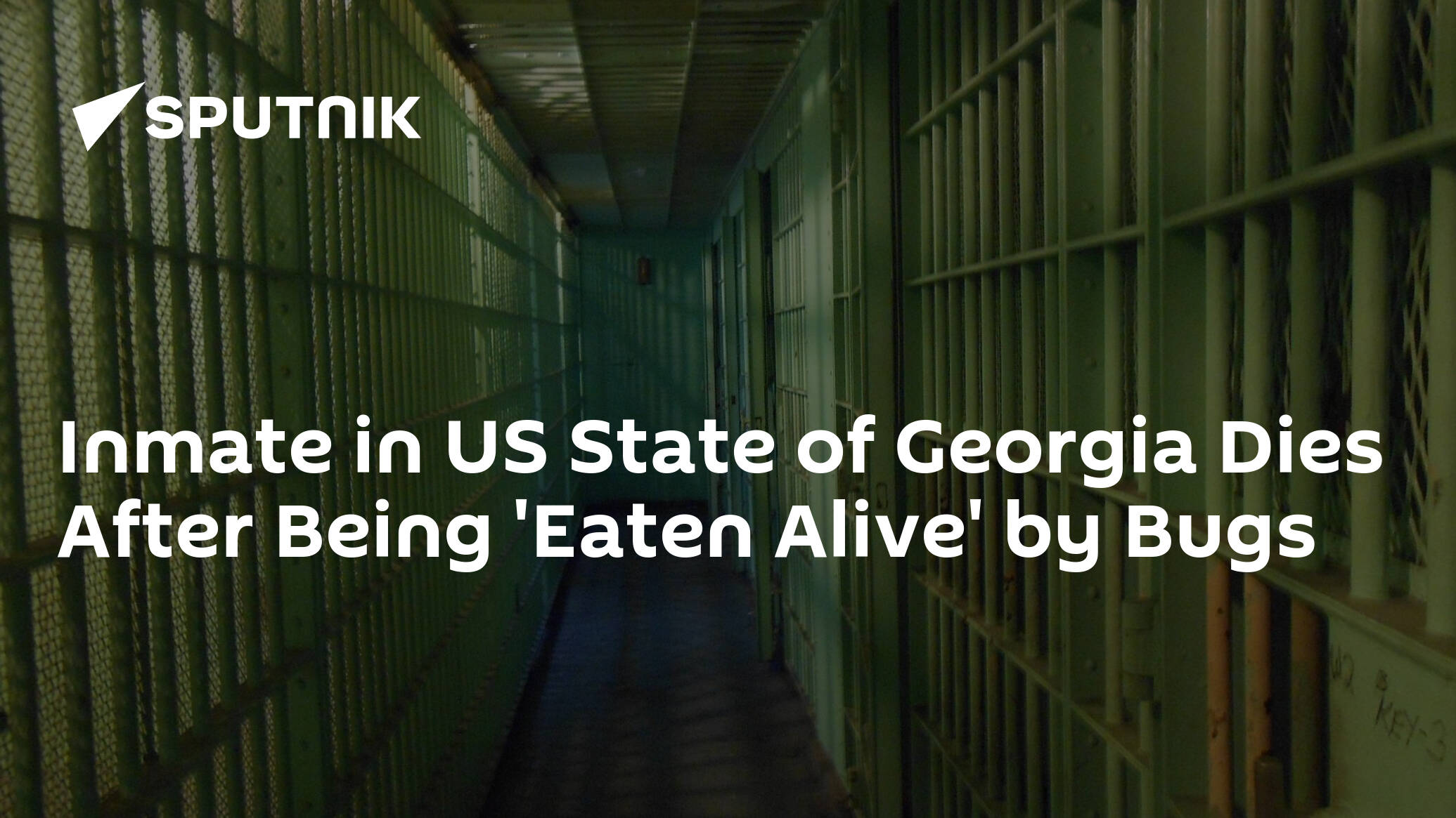 Inmate in US State of Georgia Dies After Being 'Eaten Alive' by Bugs – Family