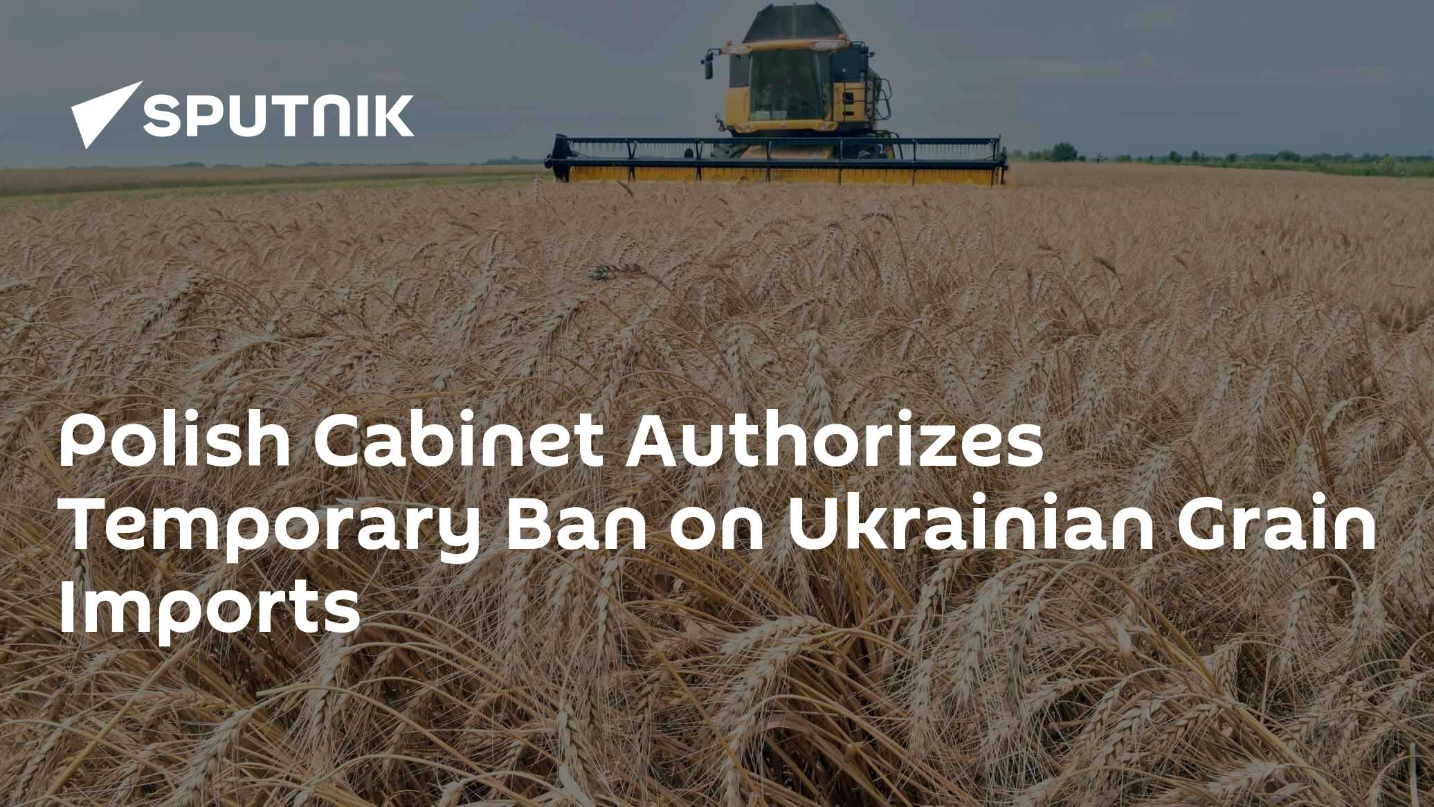 Polish Cabinet Authorizes Temporary Ban on Ukrainian Grain Imports Polish Cabinet Authorizes Temporary Ban on Ukrainian Grain Imports