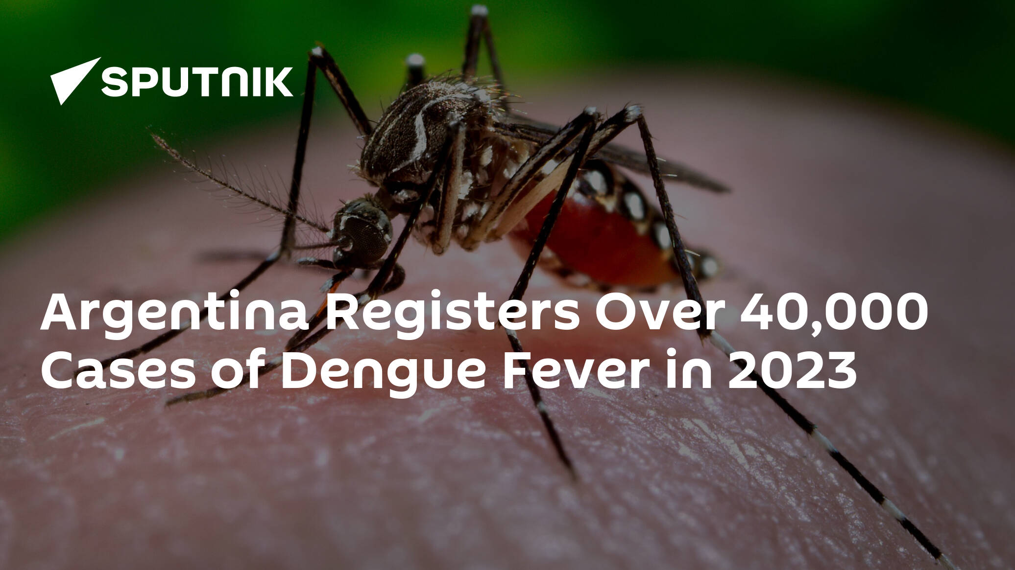 Argentina Registers Over 40,000 Cases of Dengue Fever in 2023