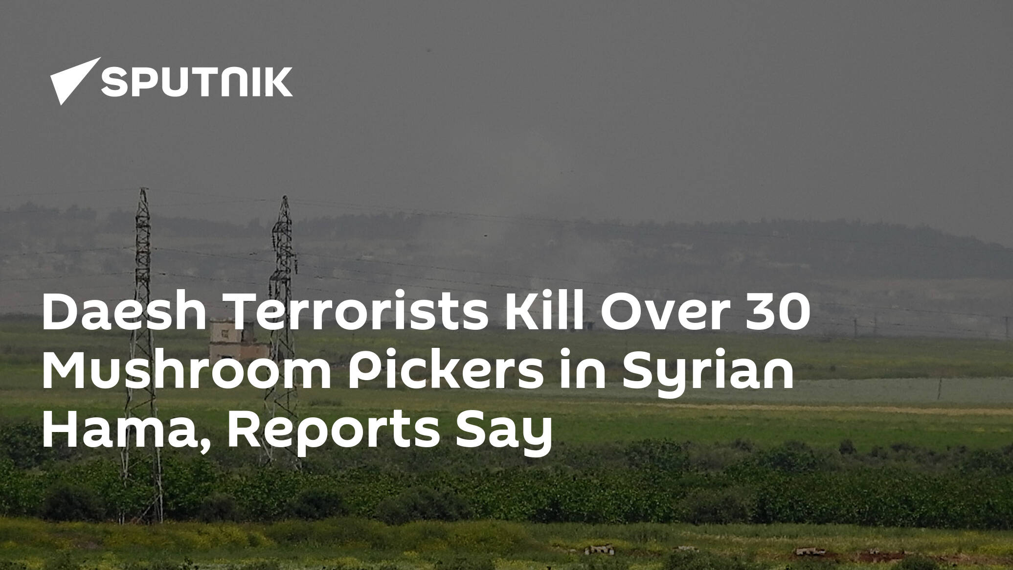 IS Terrorists Kill Over 30 Mushroom Pickers in Syrian Hama, Reports Say
