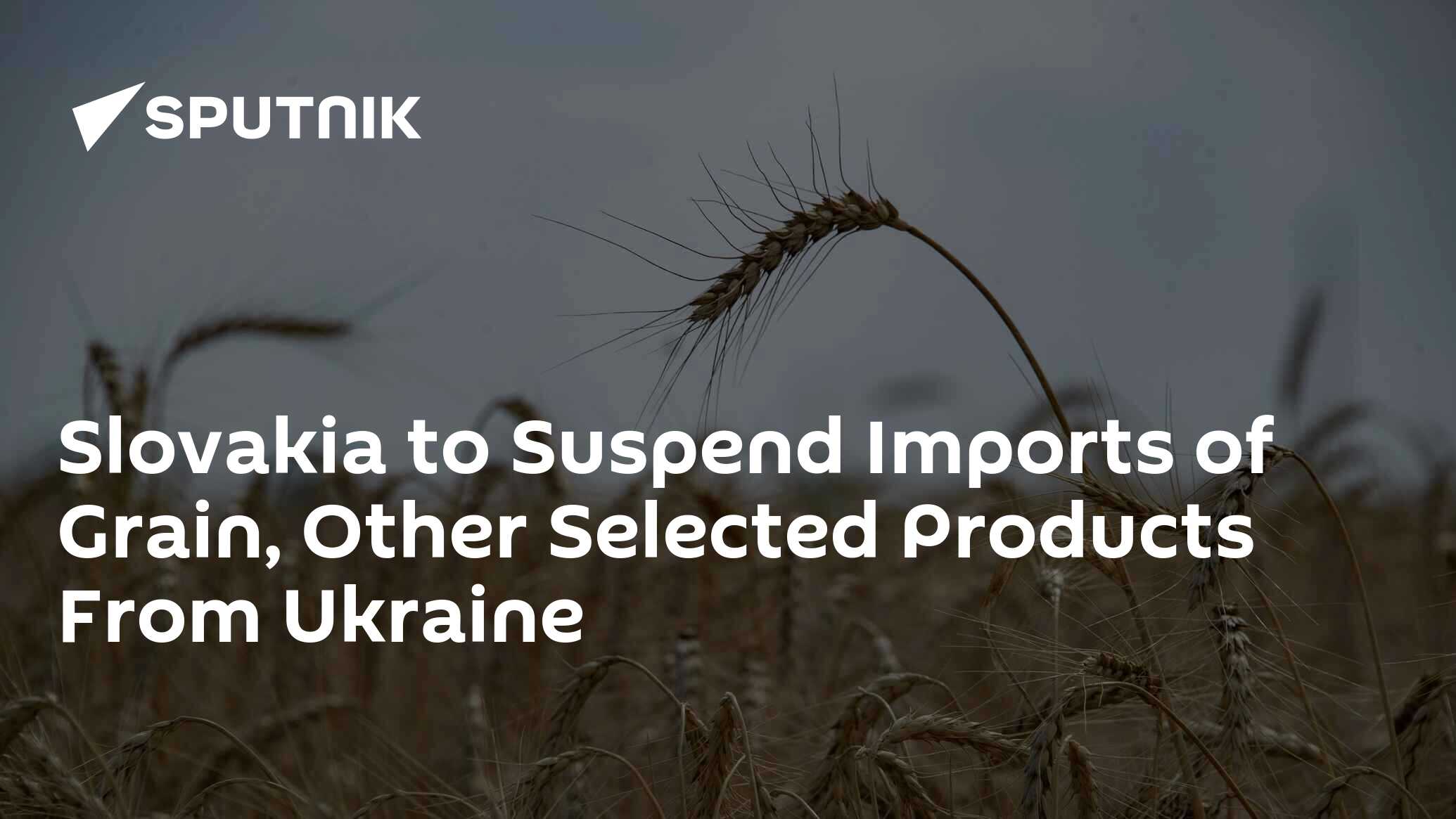 Slovakia to Suspend Imports of Grain, Other Selected Products From Ukraine Slovakia to Suspend Imports of Grain, Other Selected Products From Ukraine