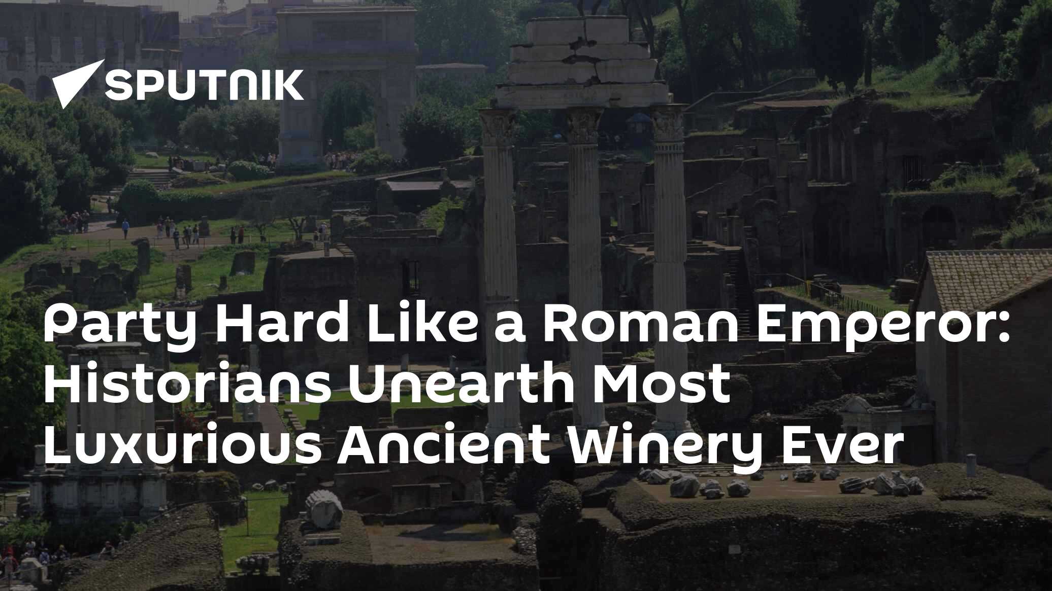 In Vino Veritas: New Archeological Find Shows Roman Elite's Lavish Taste for Wine - Vimarsana News