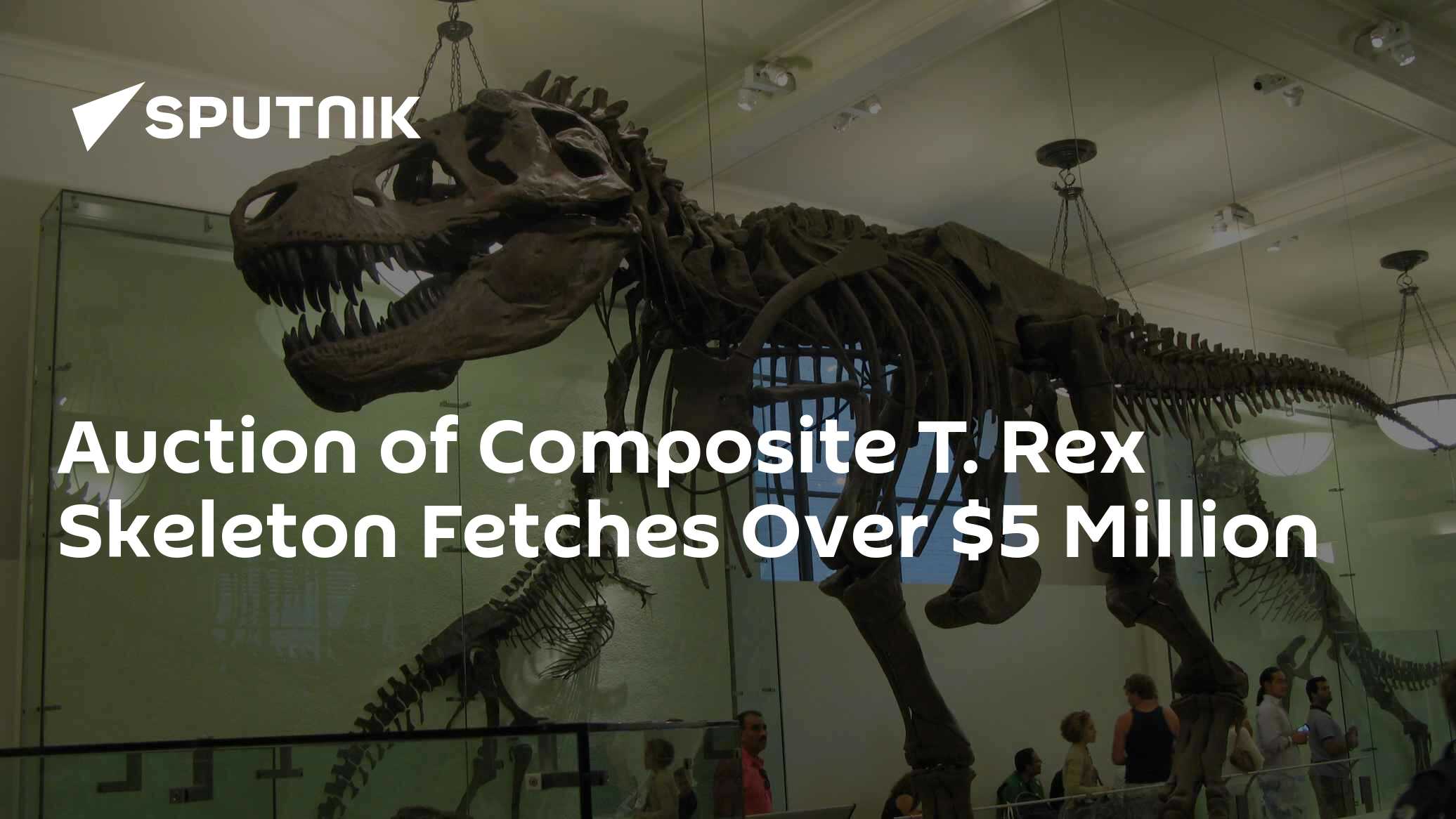 T. Rex Skeleton Sells for $6.1 Million - With Buyer's Fees - Vimarsana News