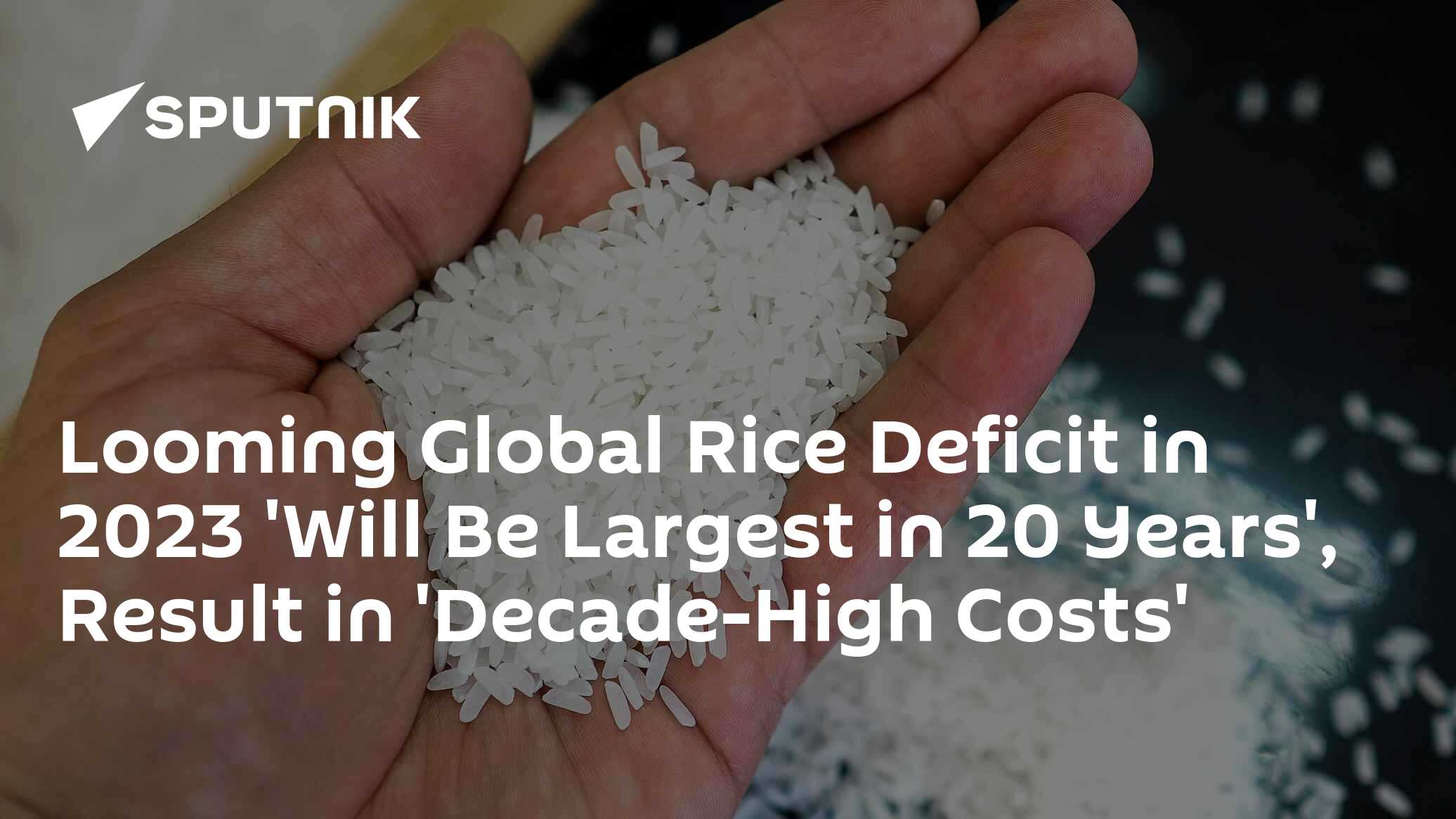 Looming Global Rice Deficit in 2023 'Will Be Largest in 20 Years' - Vimarsana News