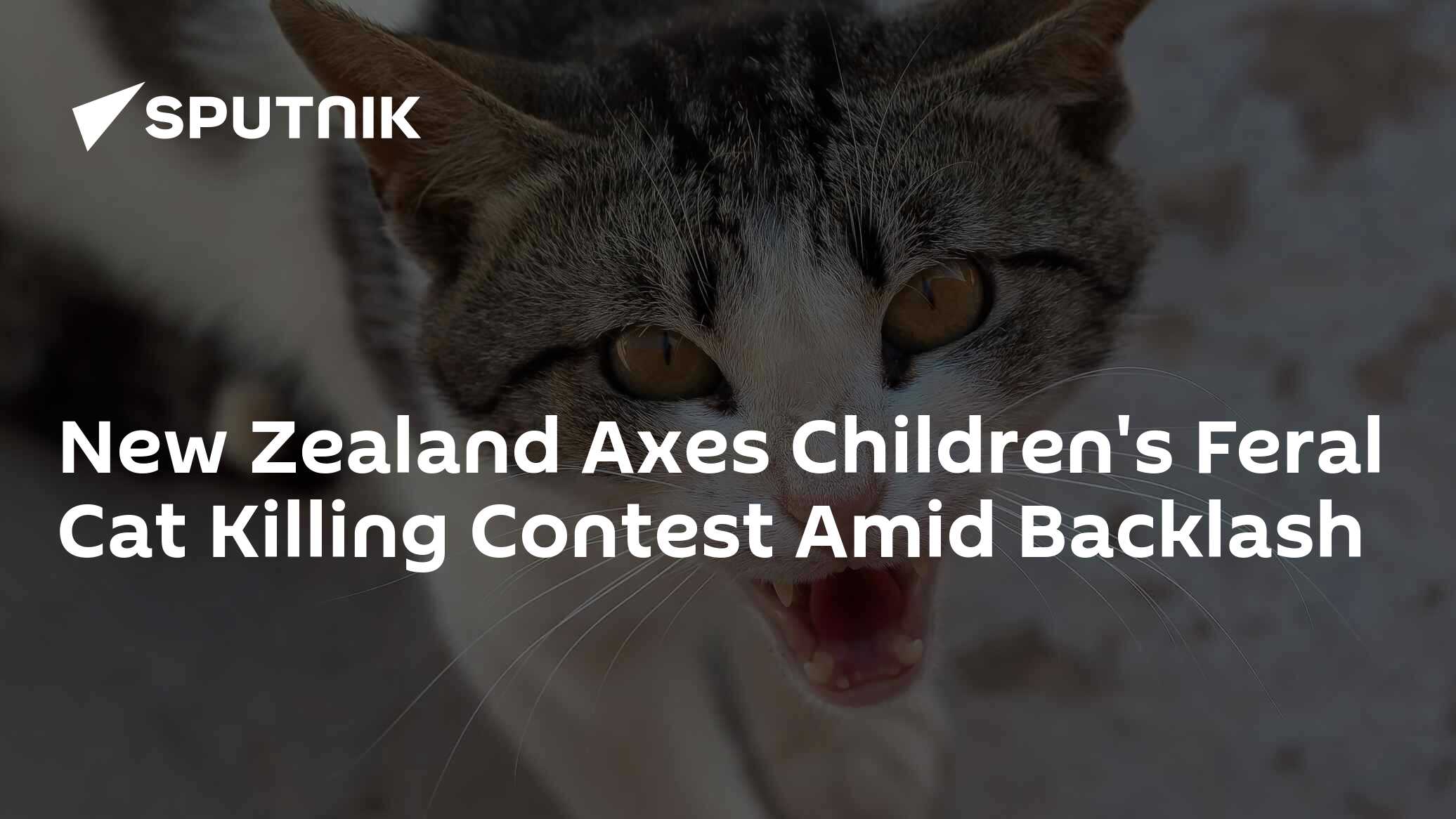 New Zealand Cancels Children's Cat Killing Contest