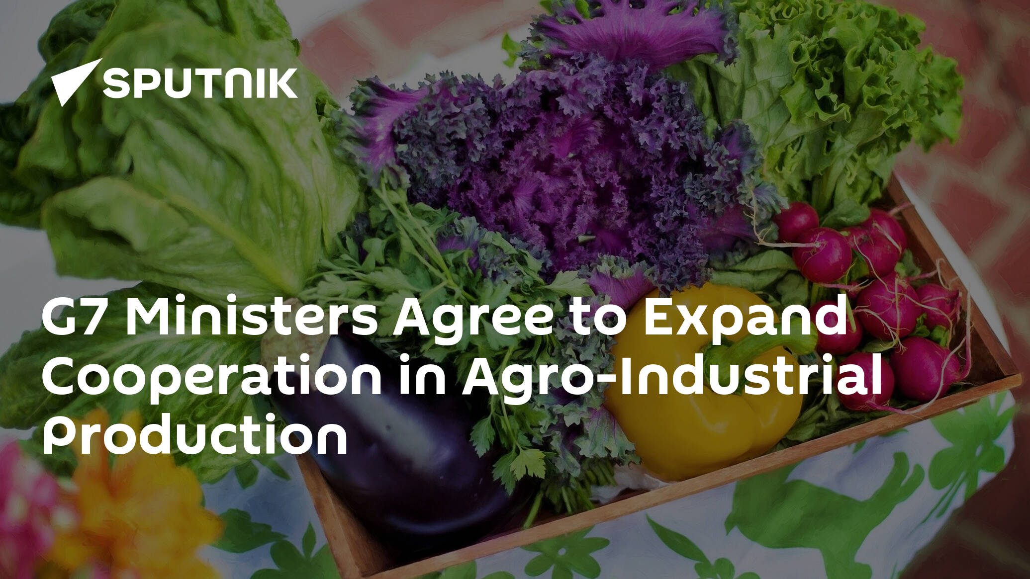G7 Ministers Agree to Expand Cooperation in Agro-Industrial Production