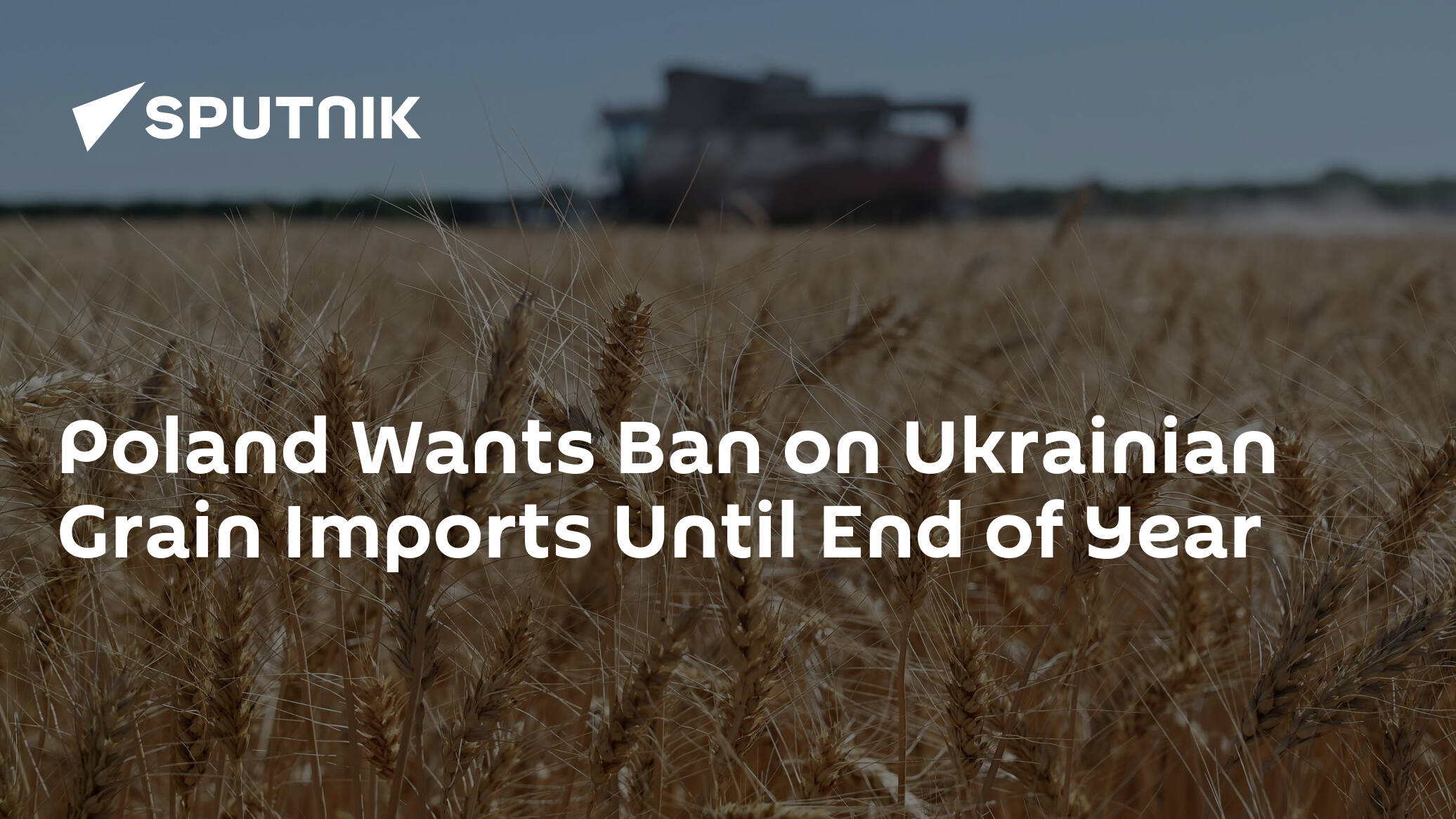 Poland Wants Ban on Ukrainian Grain Imports Until End of Year – Agriculture Minister