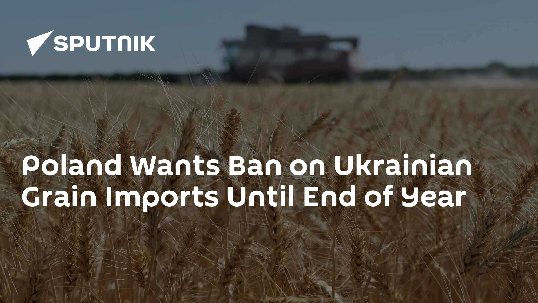 Poland Wants Ban on Ukrainian Grain Imports Until End of Year – Agriculture Minister Poland Wants Ban on Ukrainian Grain Imports Until End of Year – Agriculture Minister