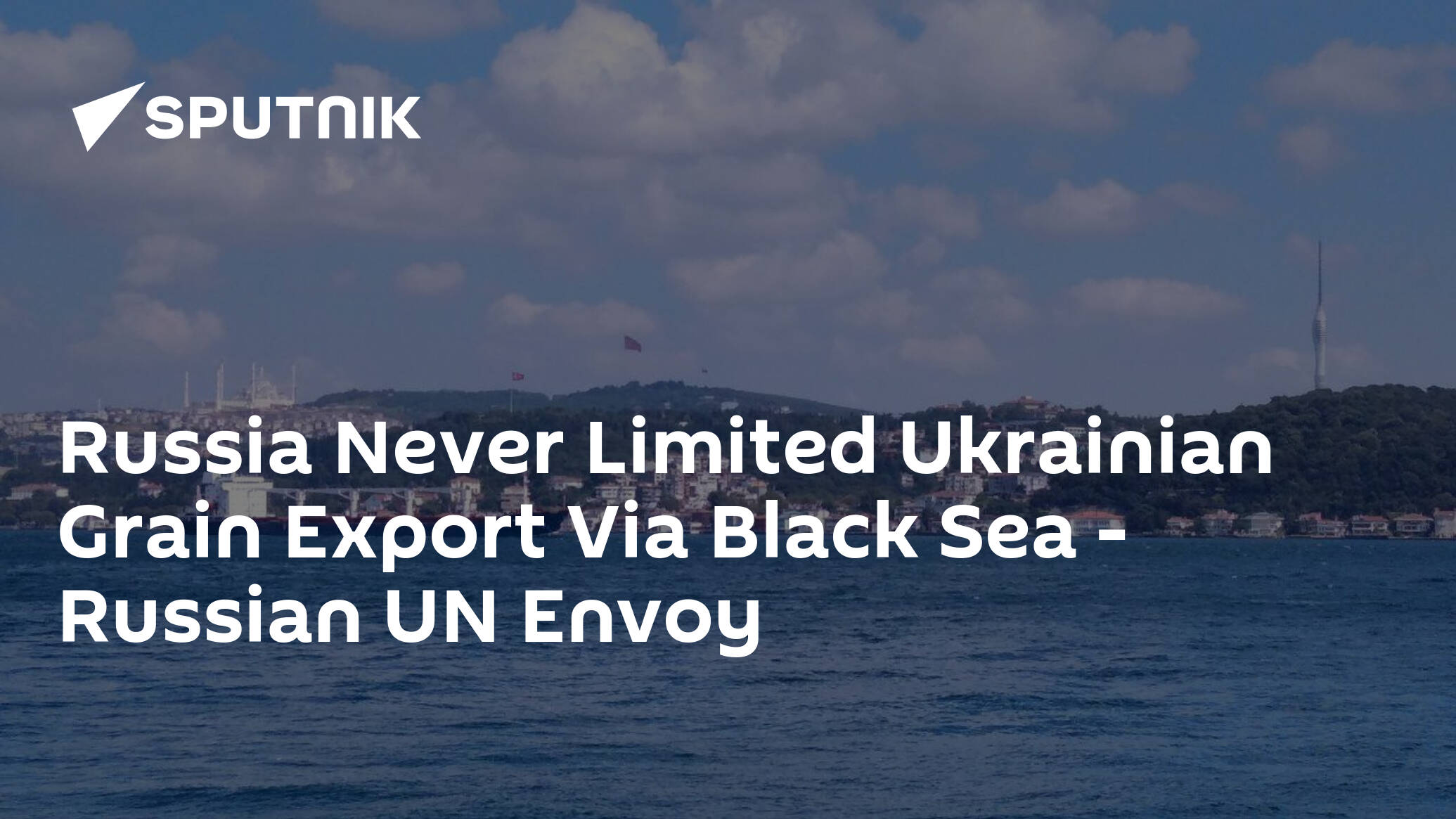 Russia Never Limited Ukrainian Grain Export Via Black Sea – Russian UN Envoy