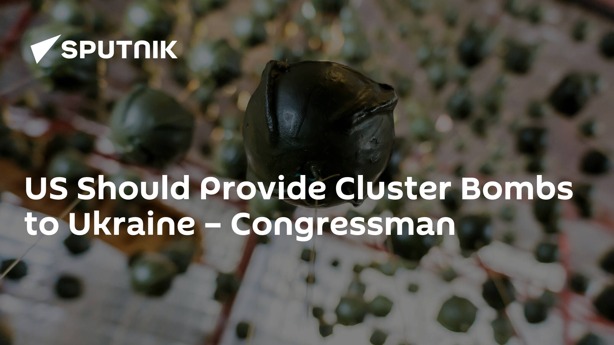 US Should Provide Cluster Bombs to Ukraine – Congressman