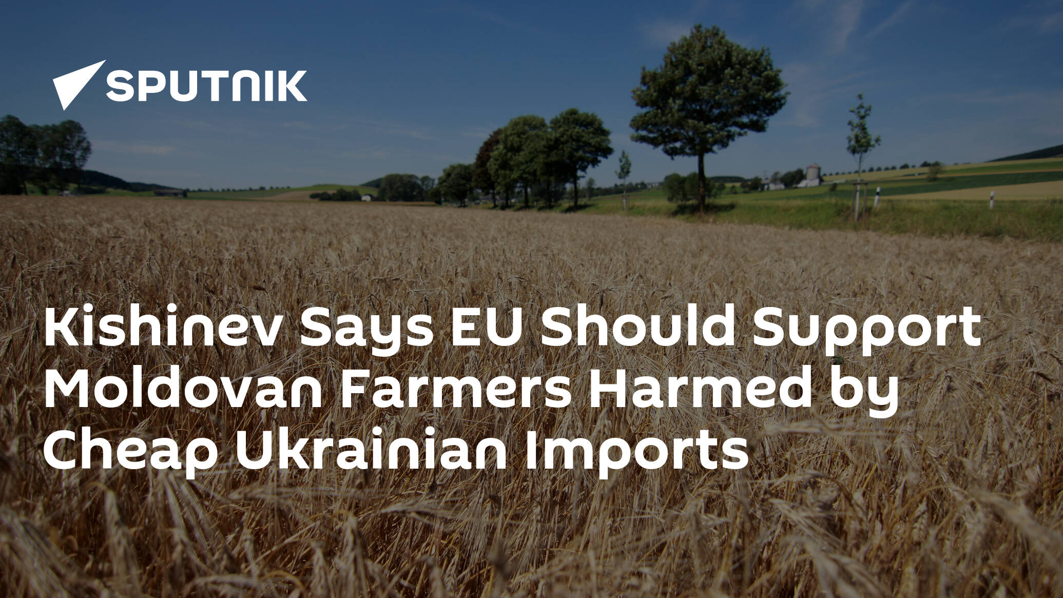 Kishinev Says EU Should Support Moldovan Farmers Harmed by Cheap Ukrainian Imports