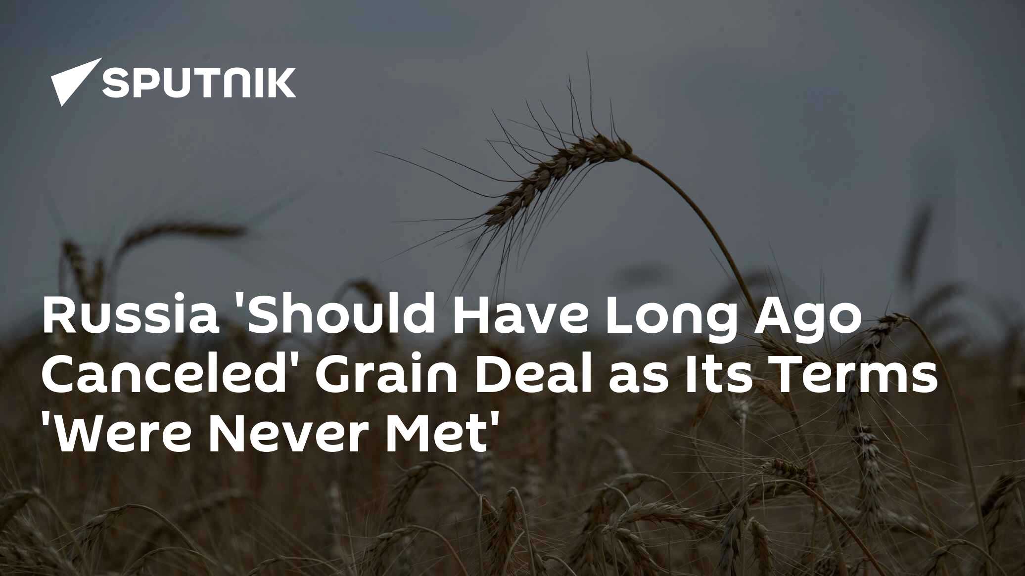 Russia Should Have Long Canceled Grain Deal As Its Terms Were Never Met - Vimarsana News