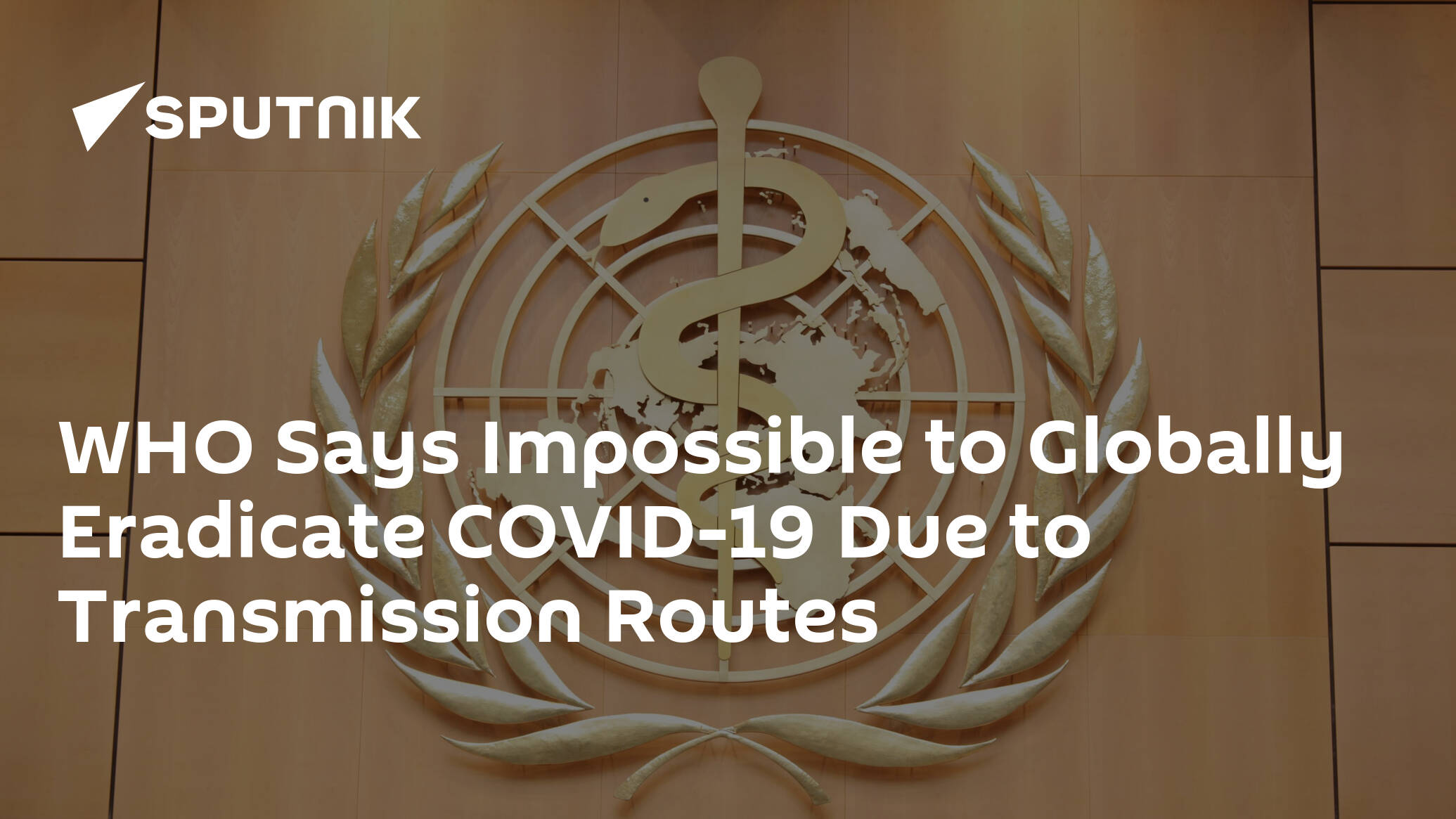 WHO Says Impossible to Globally Eradicate COVID-19 Due to Transmission Routes