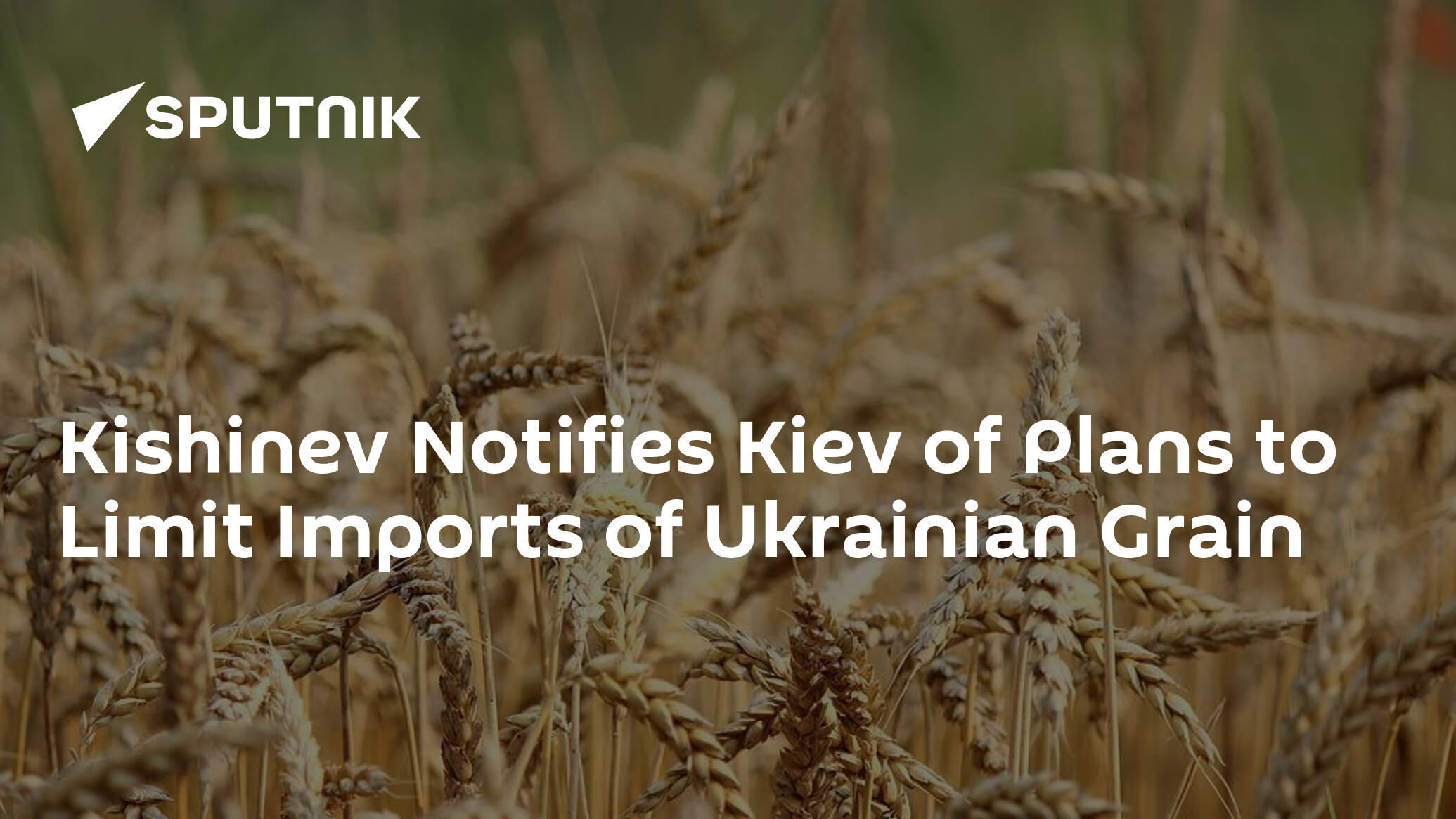 Kishinev Notifies Kiev of Plans to Limit Imports of Ukrainian Grain