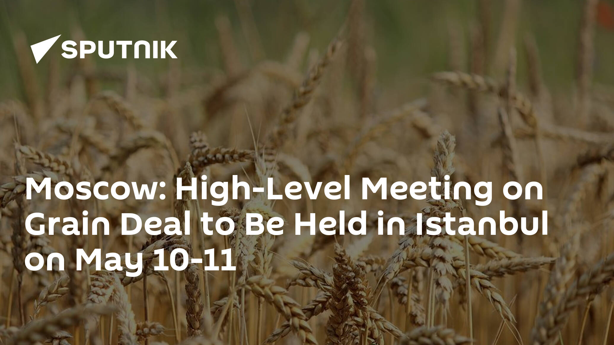 Moscow: High-Level Meeting on Grain Deal to Be Held in Istanbul on May 10-11
