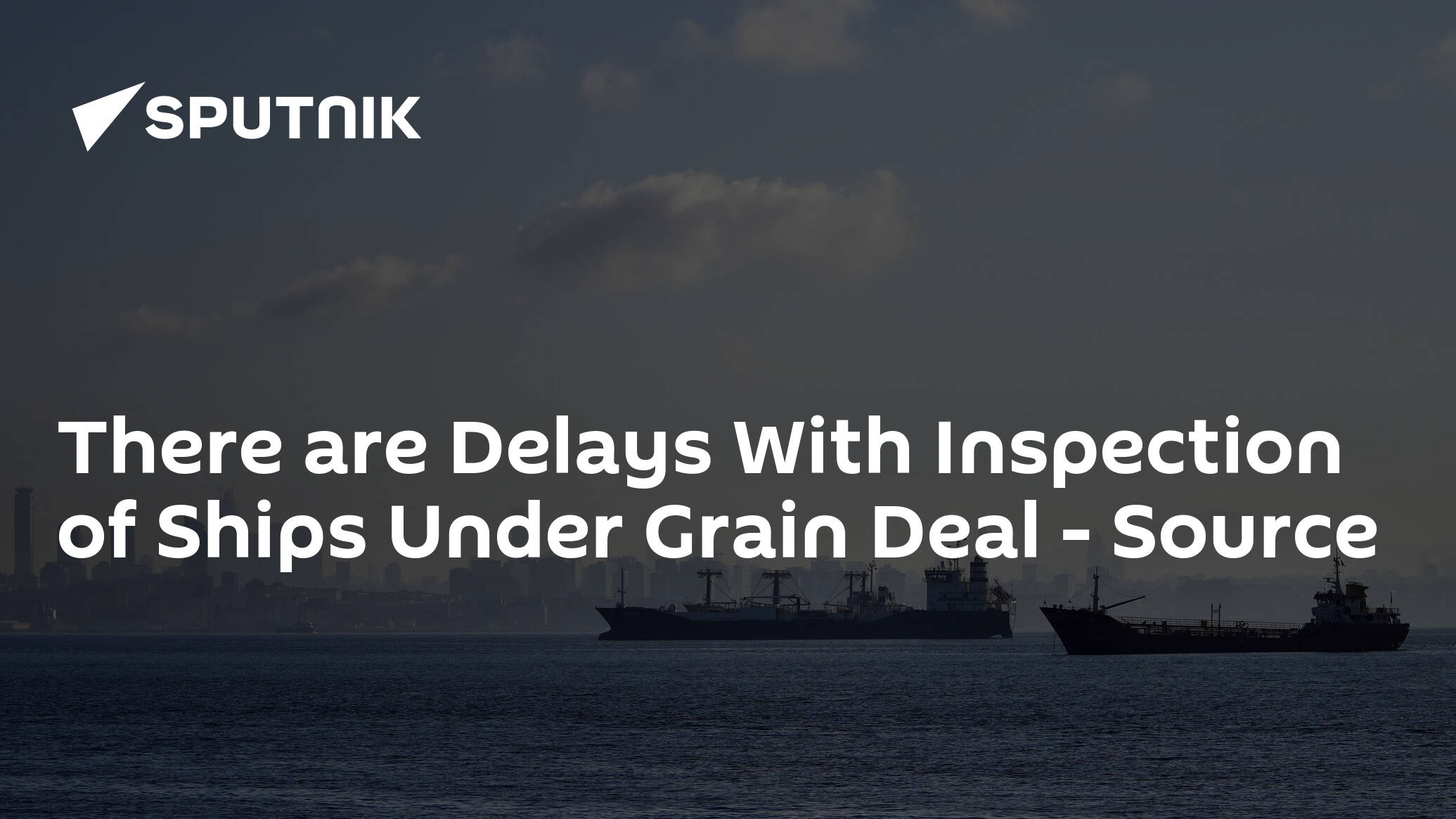There are Delays With Inspection of Ships Under Grain Deal – Source