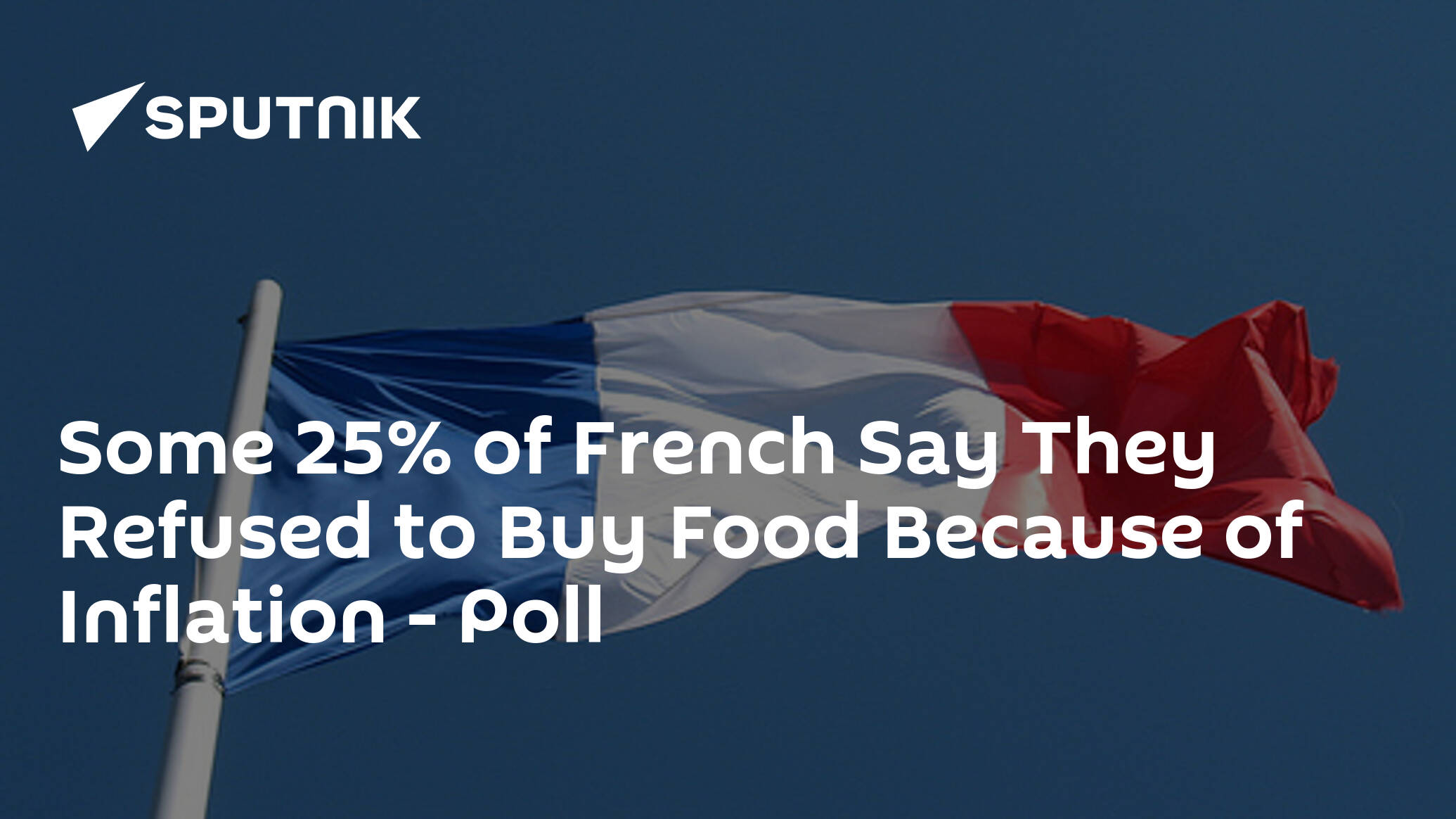 Some 25% of French Say They Refused to Buy Food Because of Inflation – Poll