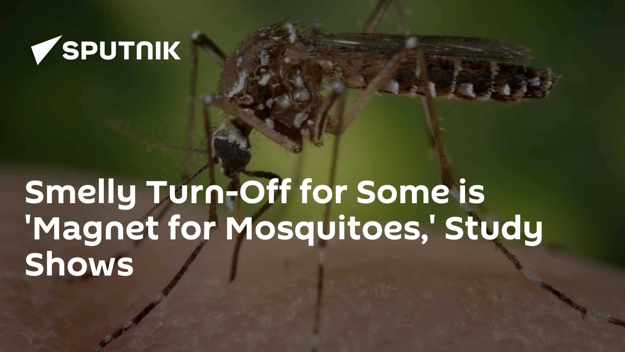 Smelly TurnOff for Some is for Mosquitoes,' Study Shows
