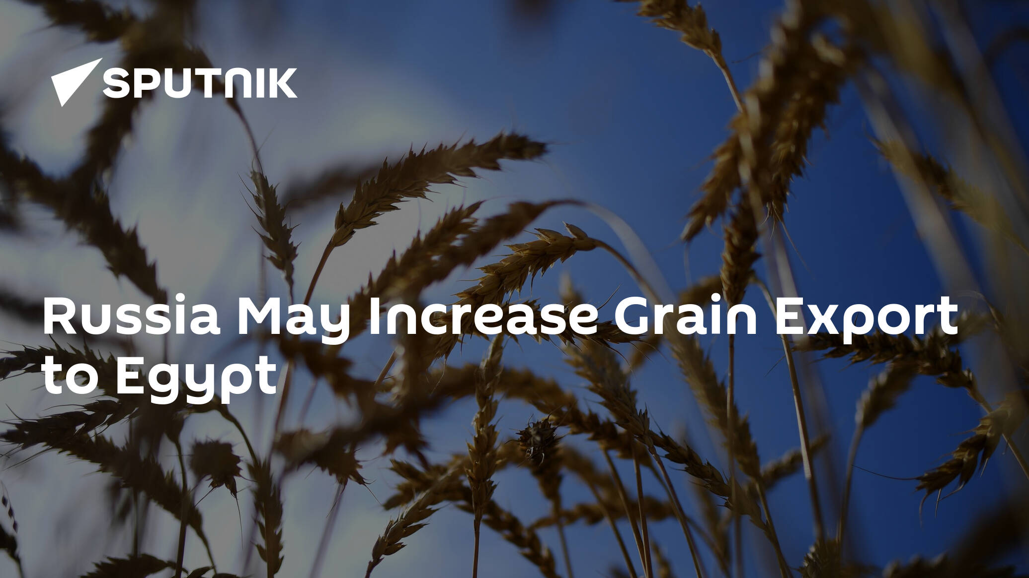 Russia May Increase Grain Export to Egypt