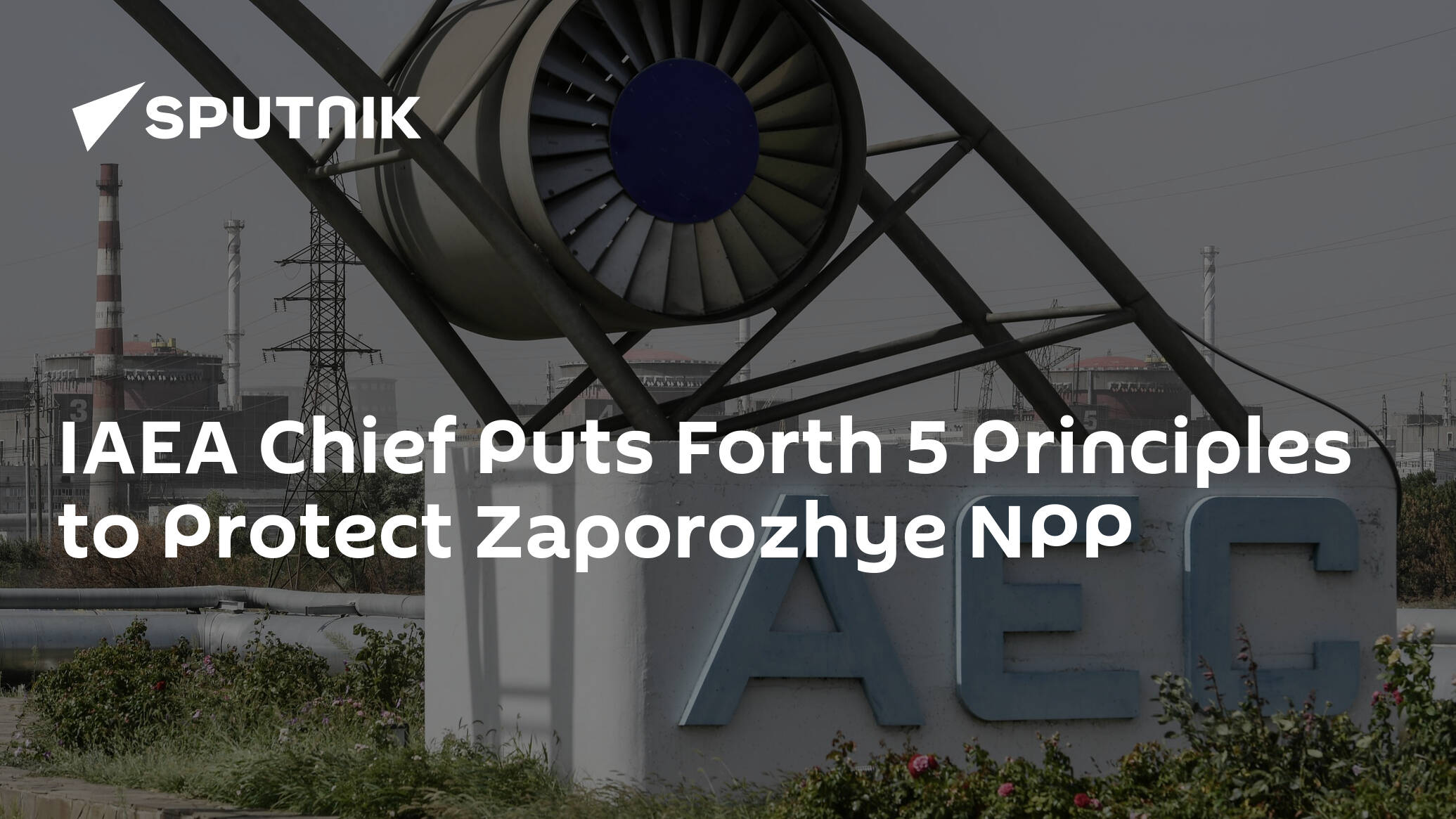 IAEA Chief Puts Forth 5 Principles to Protect Zaporozhye NPP