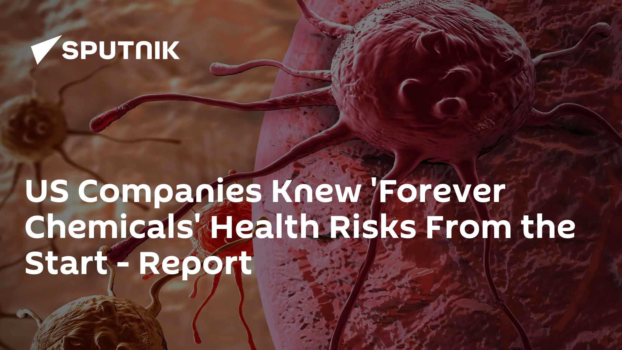 US Companies Concealed Data on Health Risks of 'Forever Chemicals' - Vimarsana News