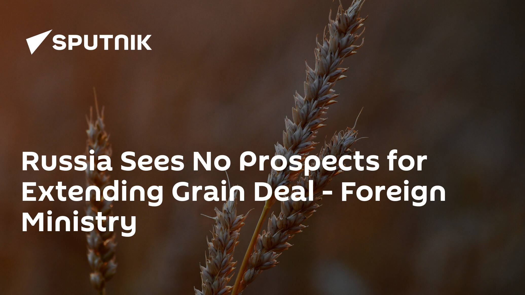 Russia Sees No Prospects for Extending Grain Deal – Foreign Ministry