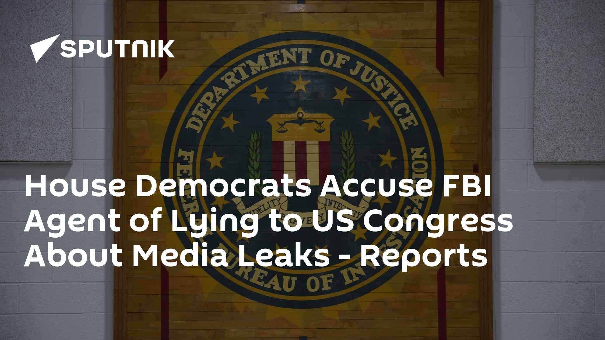 House Democrats Accuse FBI Agent of Lying to US Congress About Media Leaks – Reports House Democrats Accuse FBI Agent of Lying to US Congress About Media Leaks – Reports