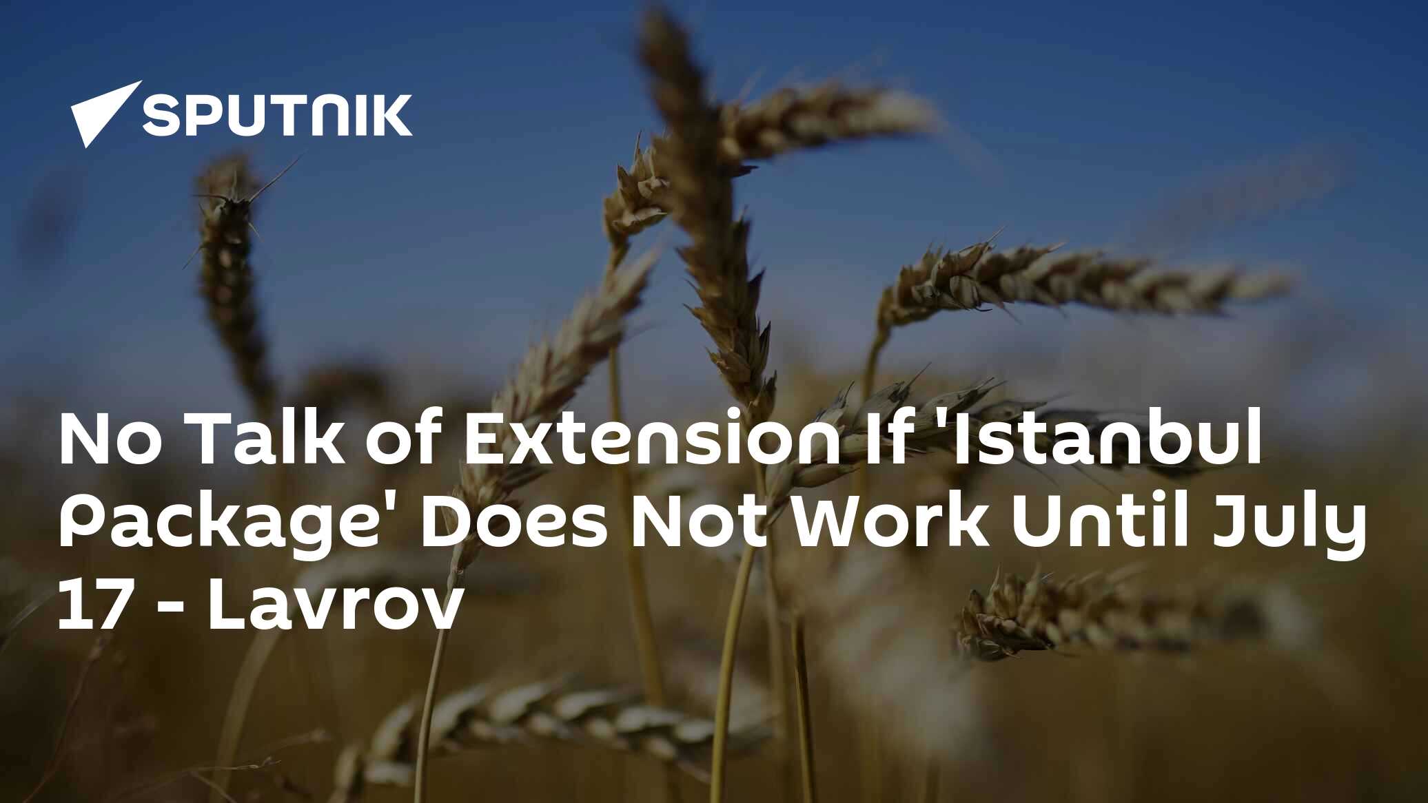 No Talk of Extension If 'Istanbul Package' Does Not Work Until July 17 – Lavrov No Talk of Extension If 'Istanbul Package' Does Not Work Until July 17 – Lavrov