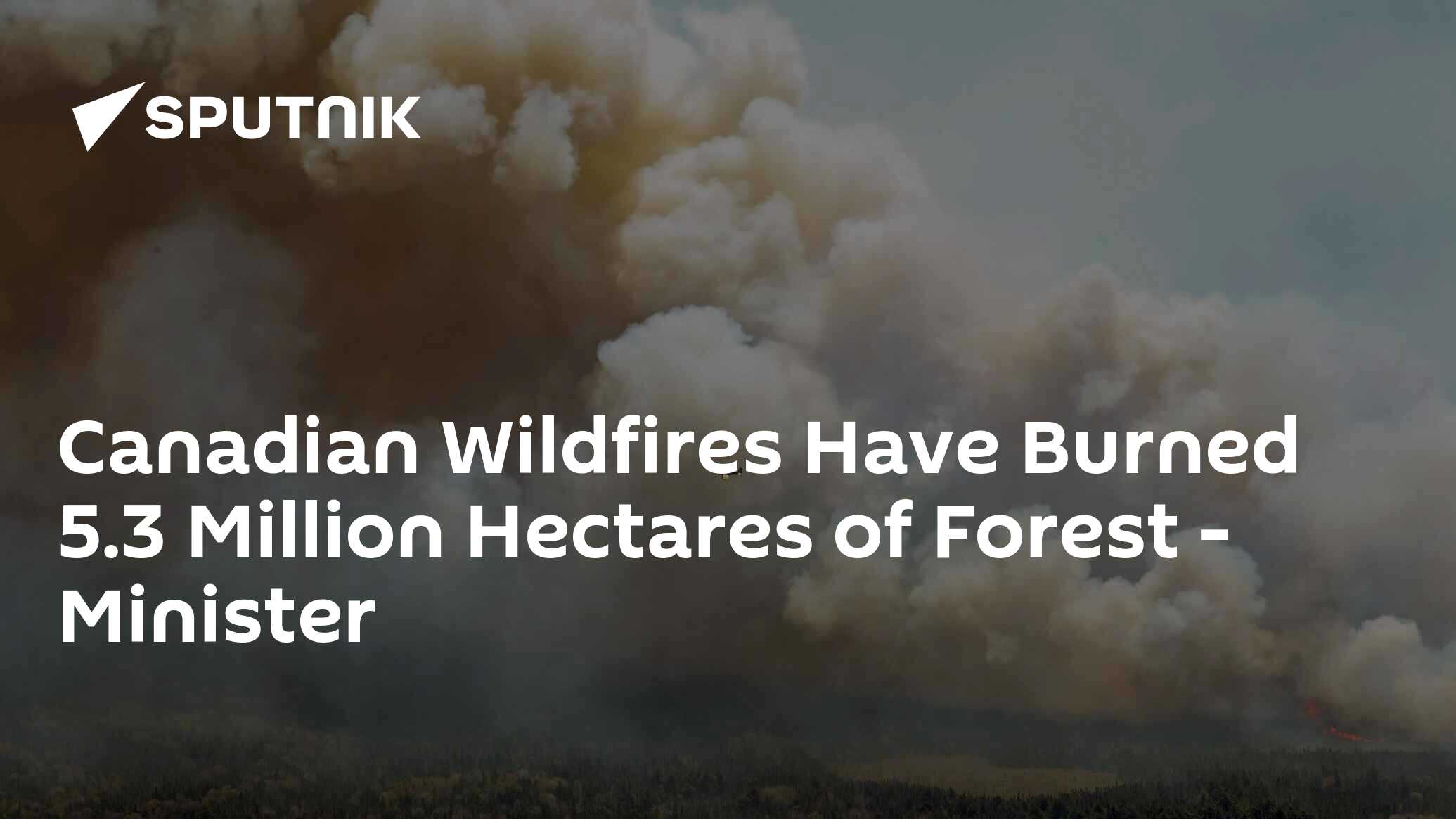 Canada Wildfires Burned 5.3 Million Hectares of Forest