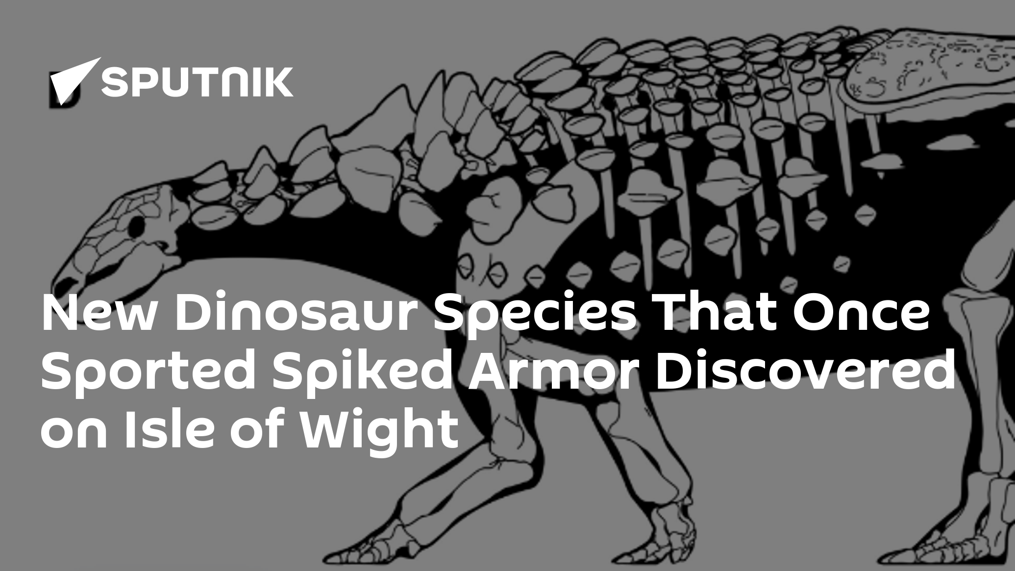 New Dinosaur Species Named After Palaeontologist Found On Isle Of Wight 