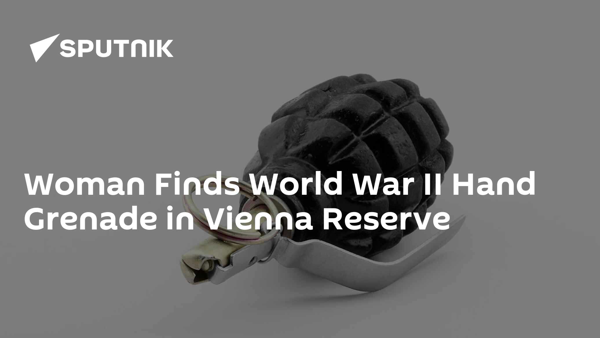 Woman Finds World War II Hand Grenade in Vienna Reserve Woman Finds World War II Hand Grenade in Vienna Reserve