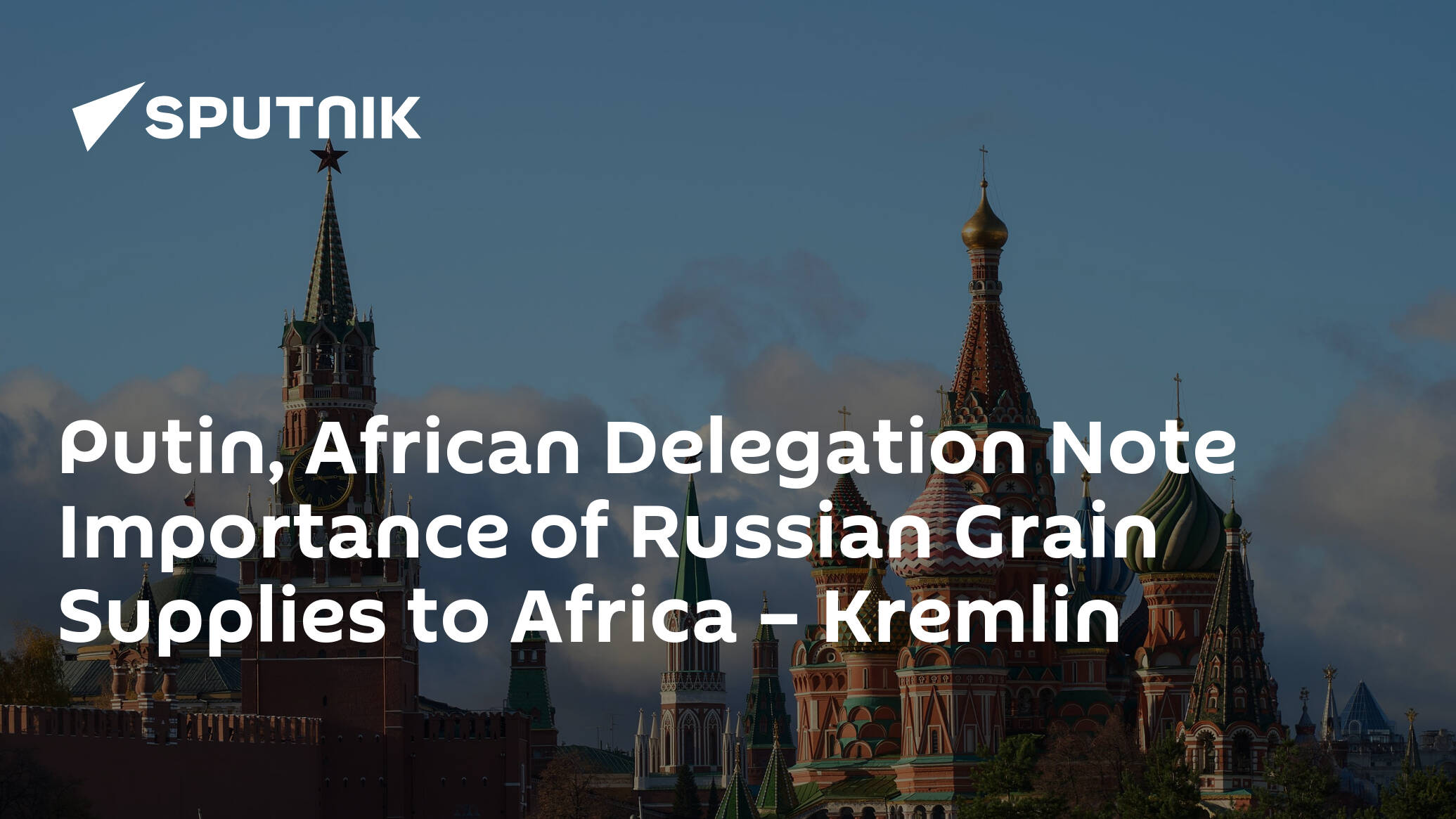 Putin, African Delegation Note Importance of Russian Grain Supplies to Africa – Kremlin