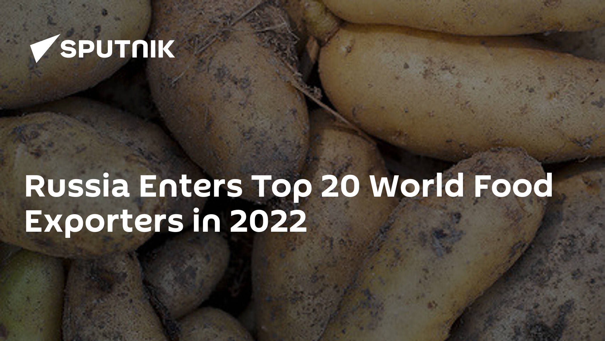 Russia Enters Top 20 World Food Exporters in 2022