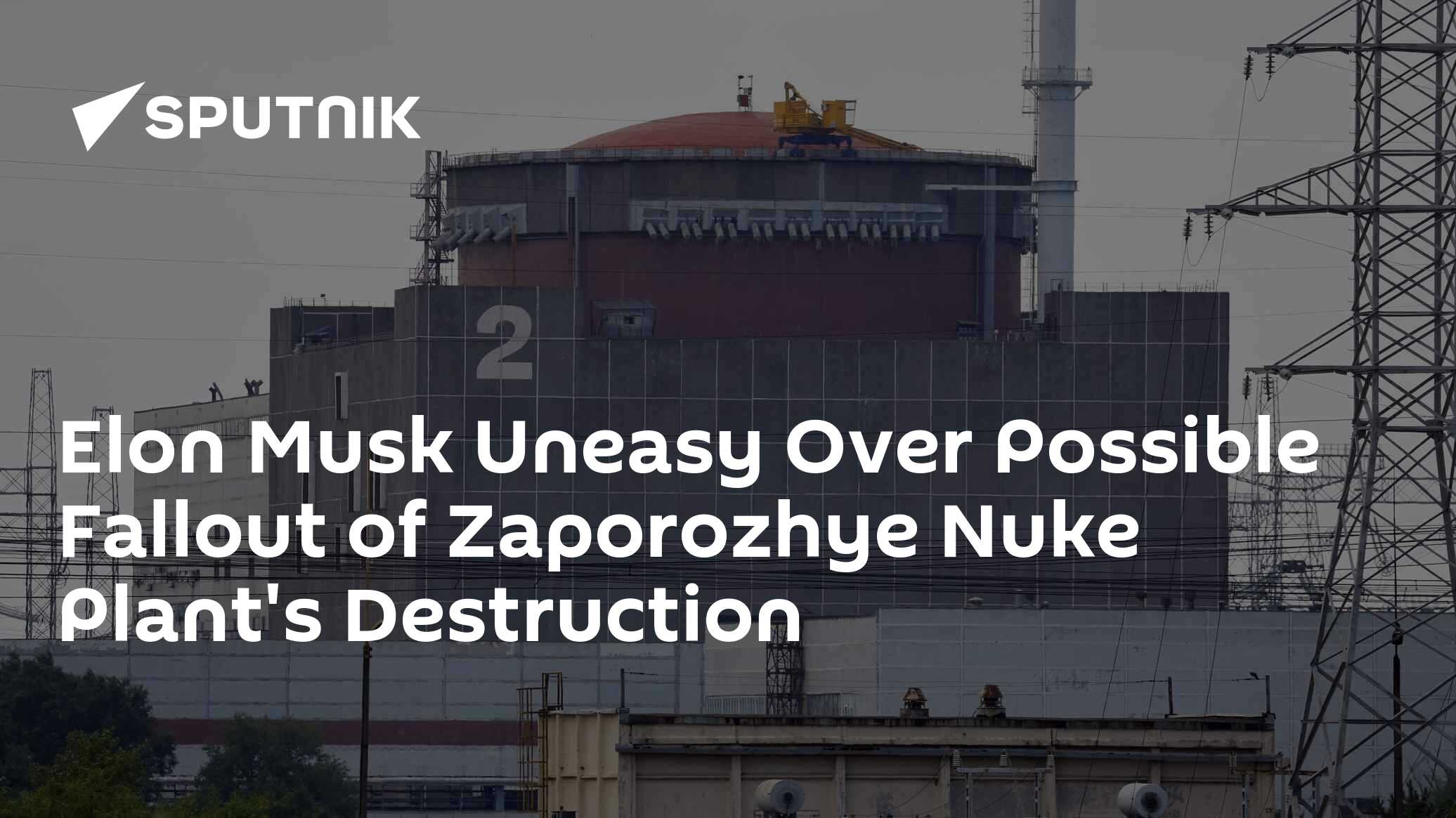 Elon Musk Concerned Over Possible 'Americanization' of Ukraine Conflct - Vimarsana News