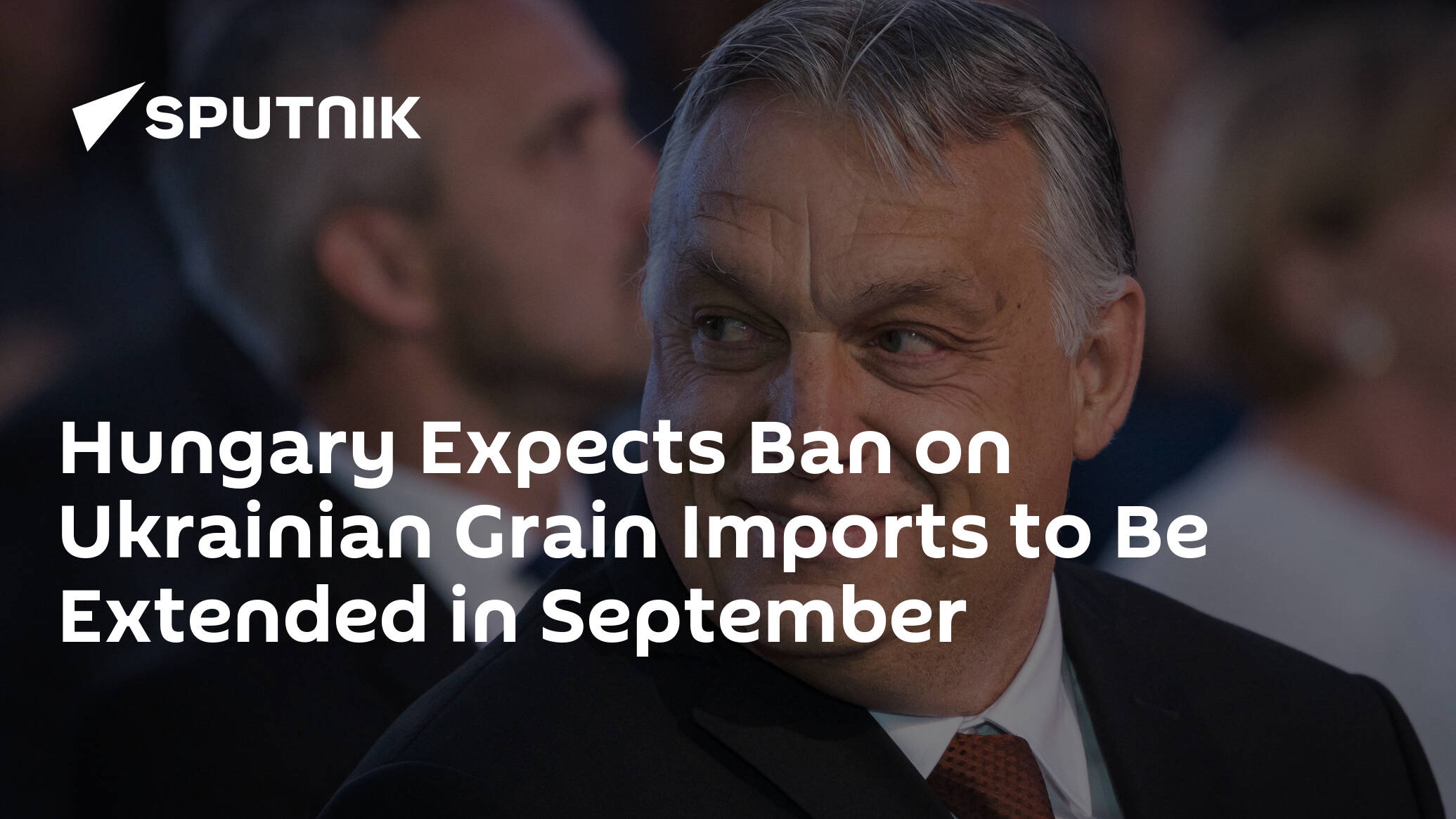 Hungary Expects Ban on Ukrainian Grain Imports to Be Extended in September