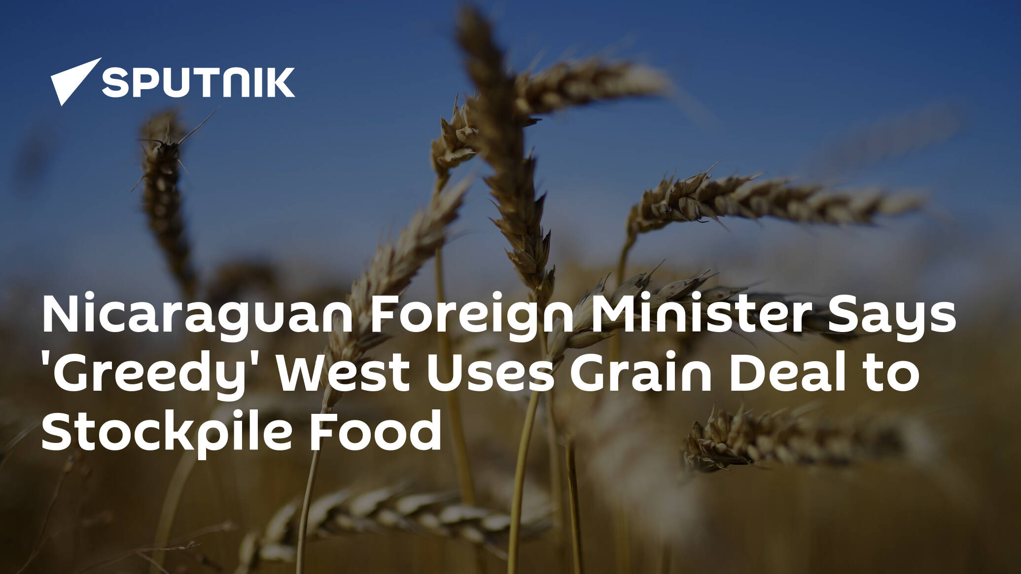 Nicaraguan Foreign Minister Says 'Greedy' West Uses Grain Deal to Stockpile Food