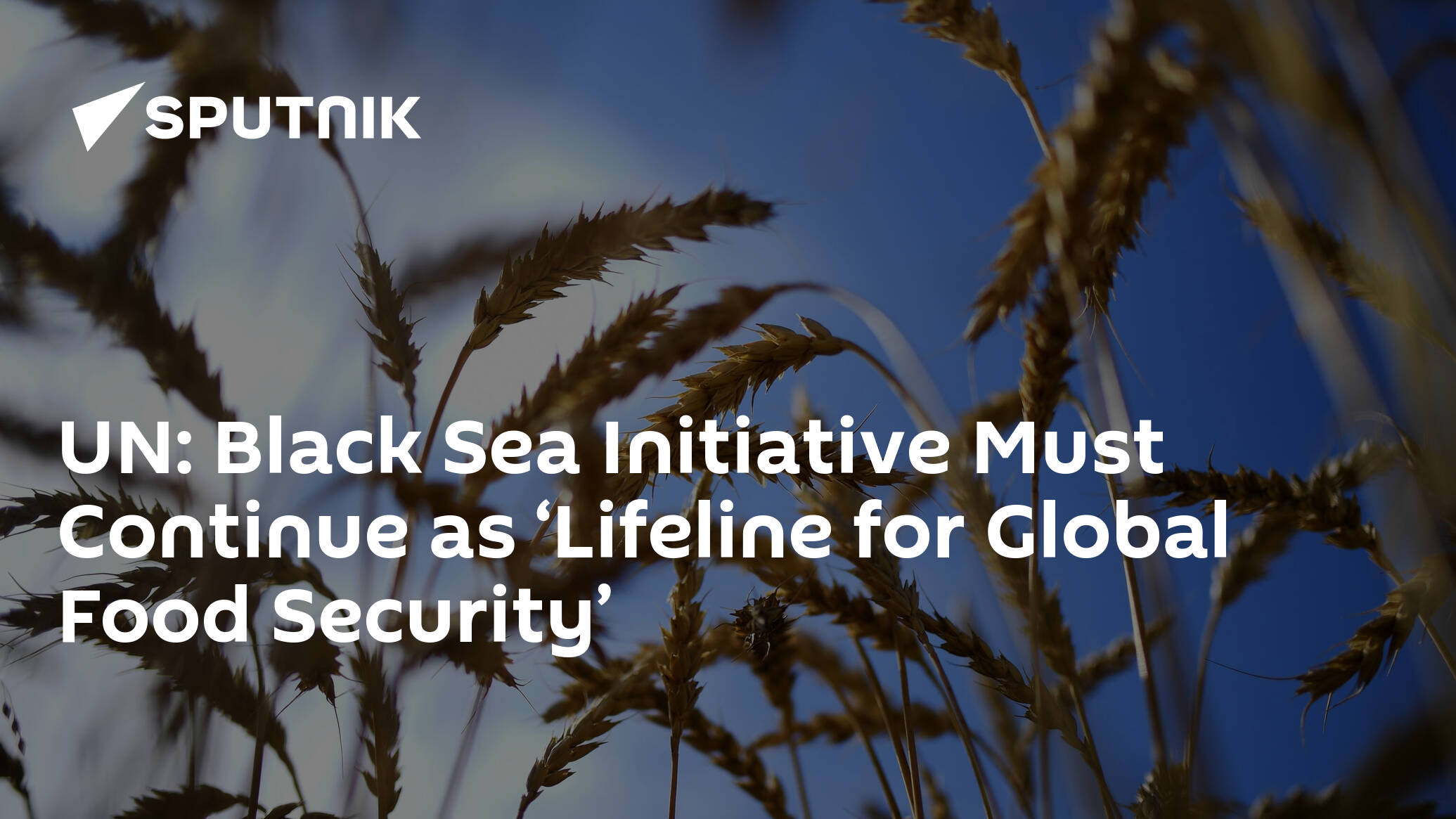 UN: Black Sea Initiative Must Continue as ‘Lifeline for Global Food Security’