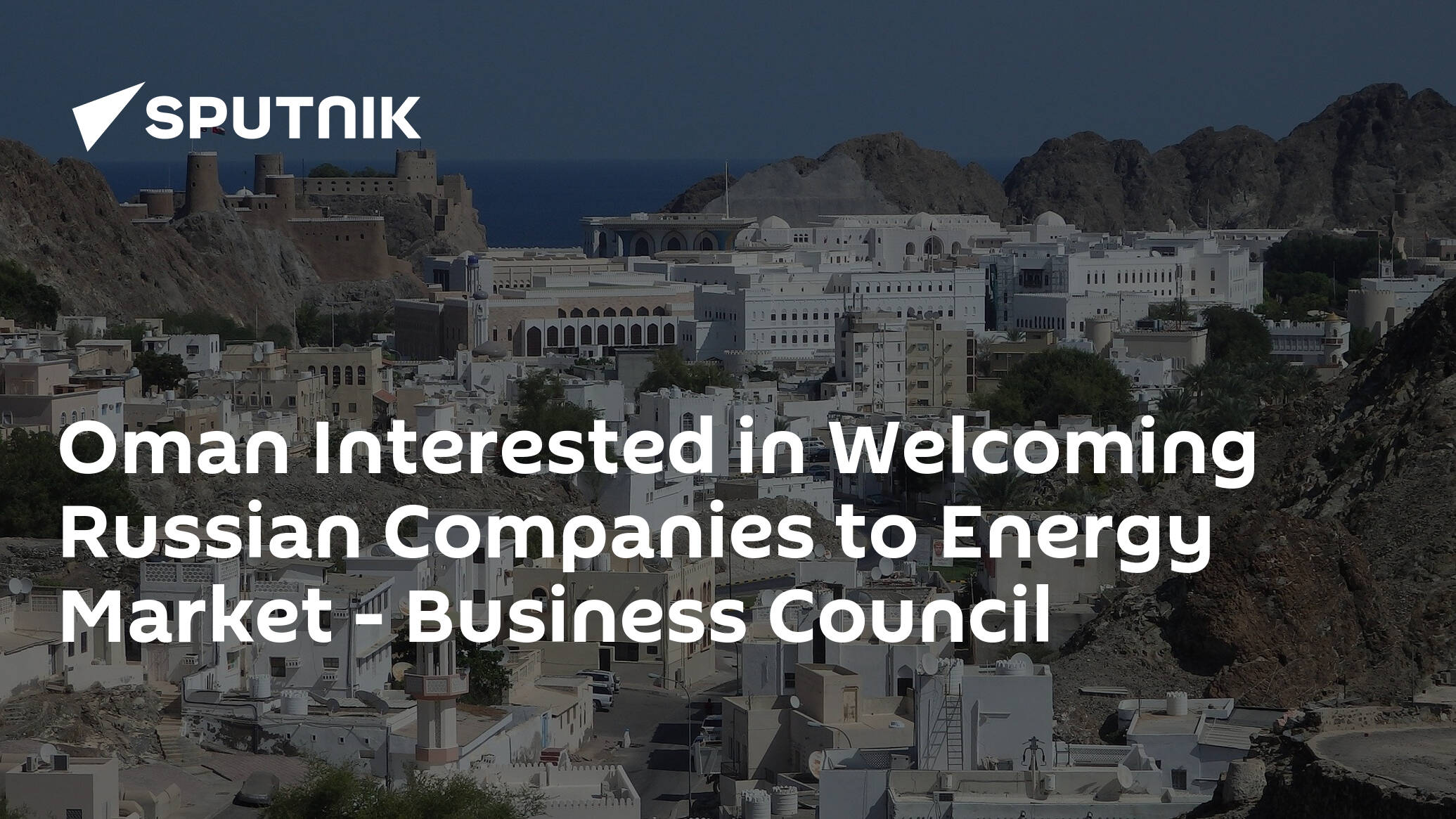 Oman Interested in Welcoming Russian Companies to Energy Market – Business Council