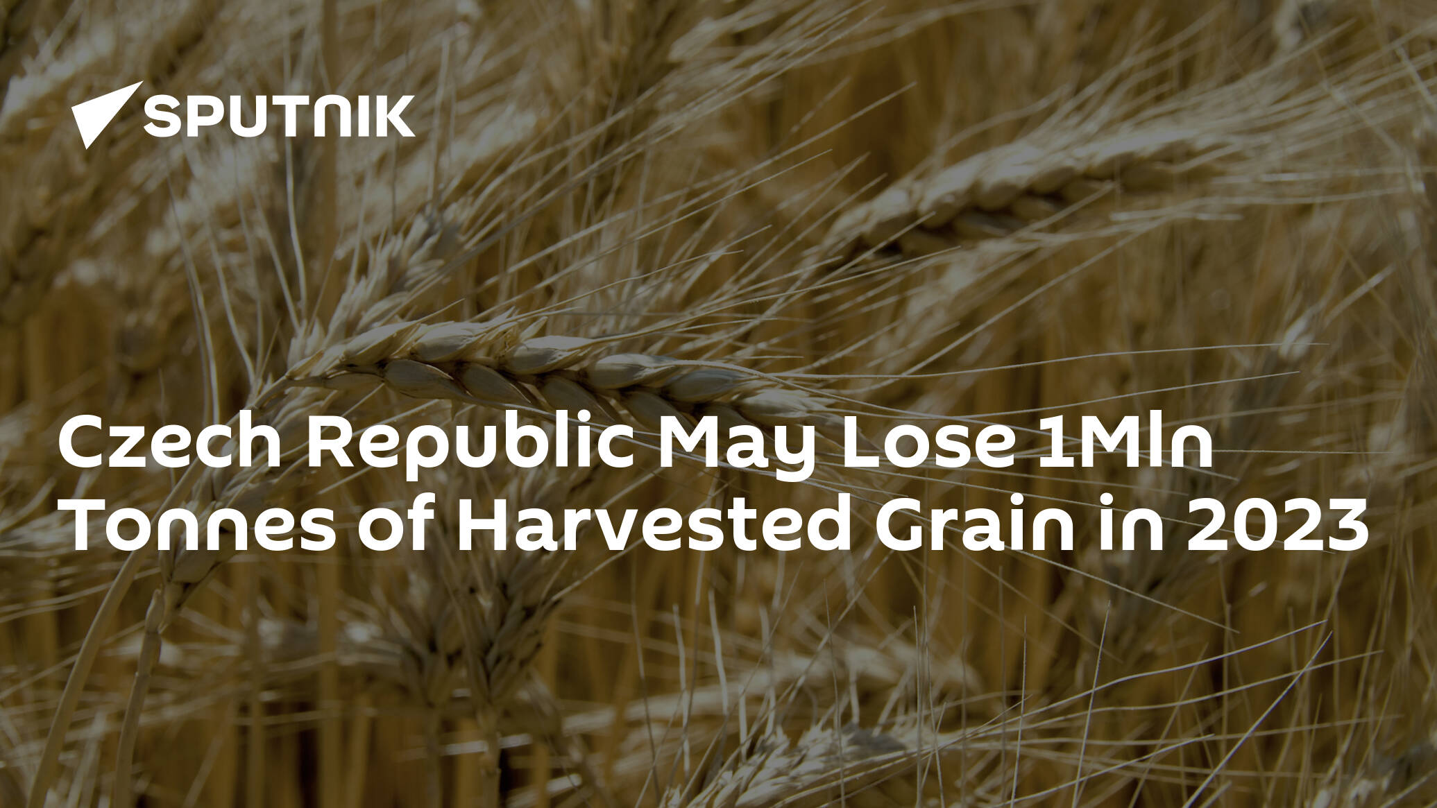 Czech Republic May Lose 1Mln Tonnes of Harvested Grain in 2023