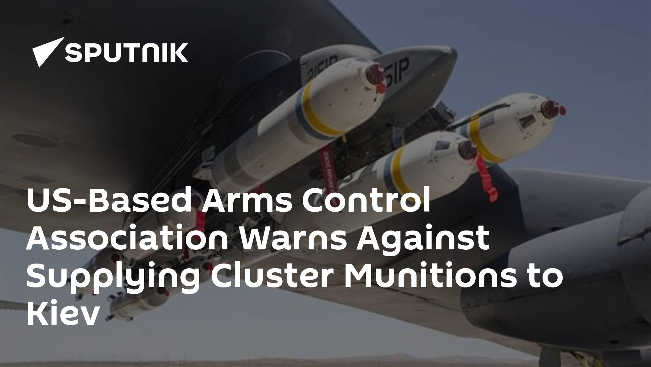 US-Based Arms Control Association Warns Against Supplying Cluster Munitions to Kiev